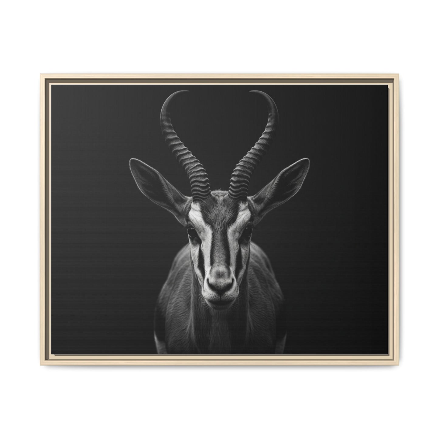 Framed Canvas Print — Springbok In Black