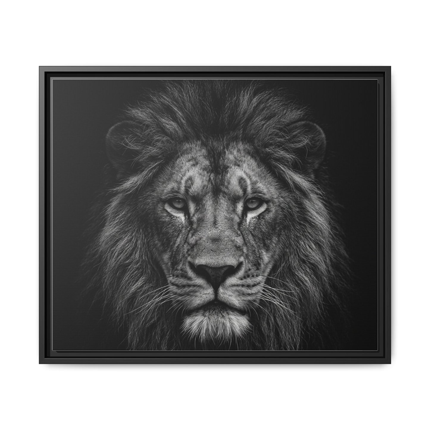 Framed Canvas Print — Lion In Black