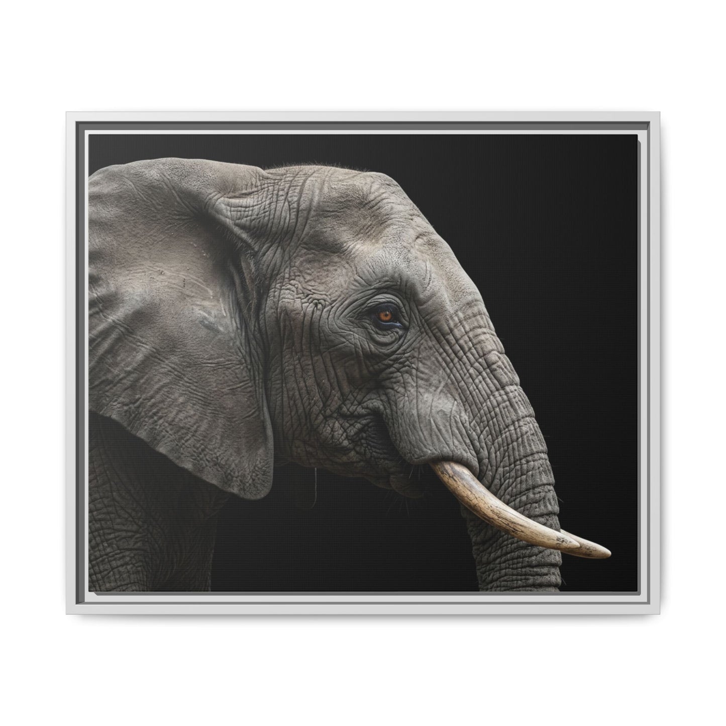 Framed Canvas Print — Elephant In Colour
