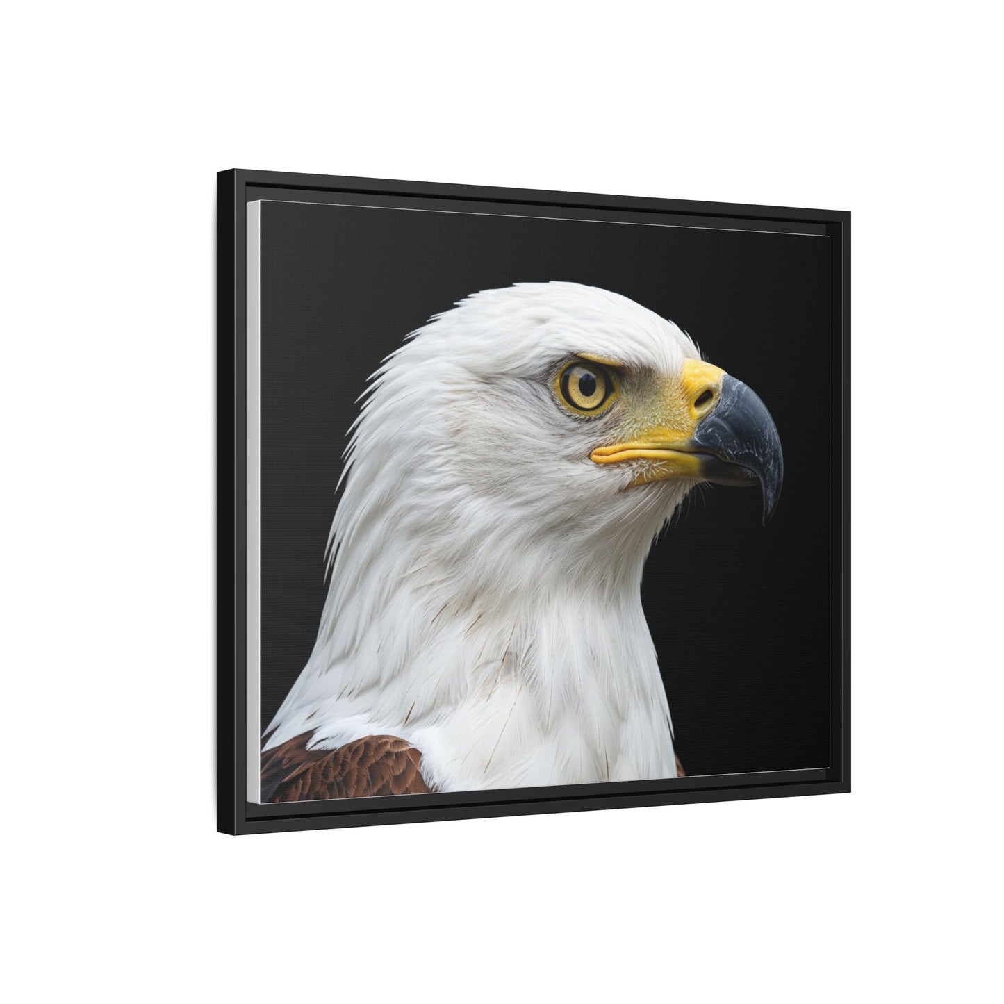 Framed Canvas Print — Fish Eagle In Colour