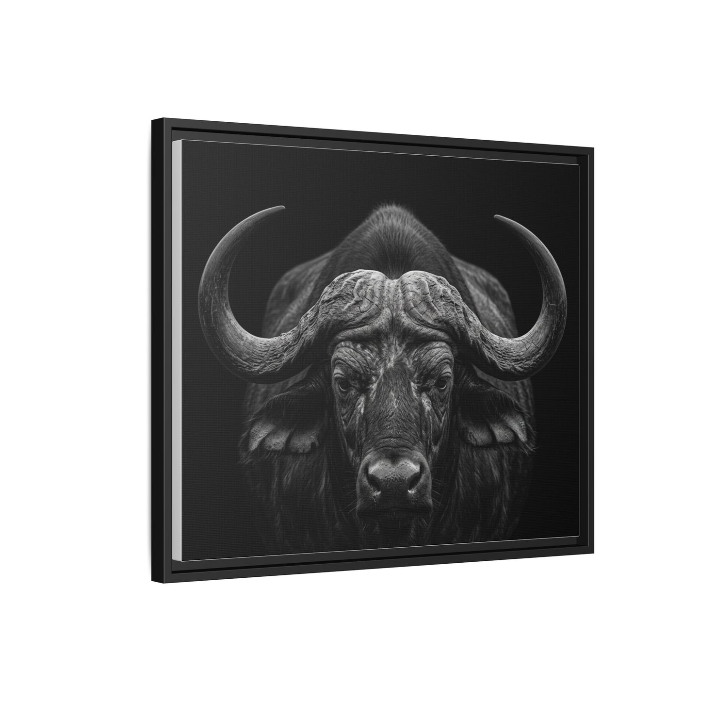 Framed Canvas Print — Cape Buffalo In Black