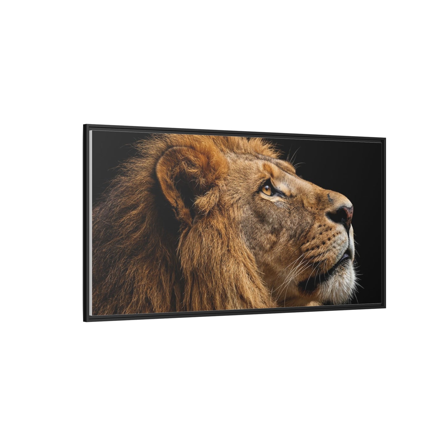 Framed Canvas Print — Lion In Colour