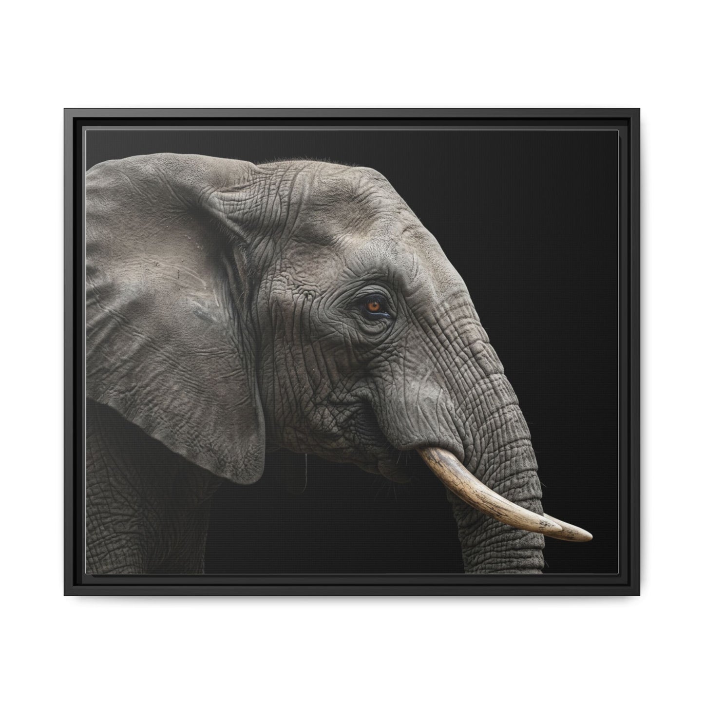 Framed Canvas Print — Elephant In Colour