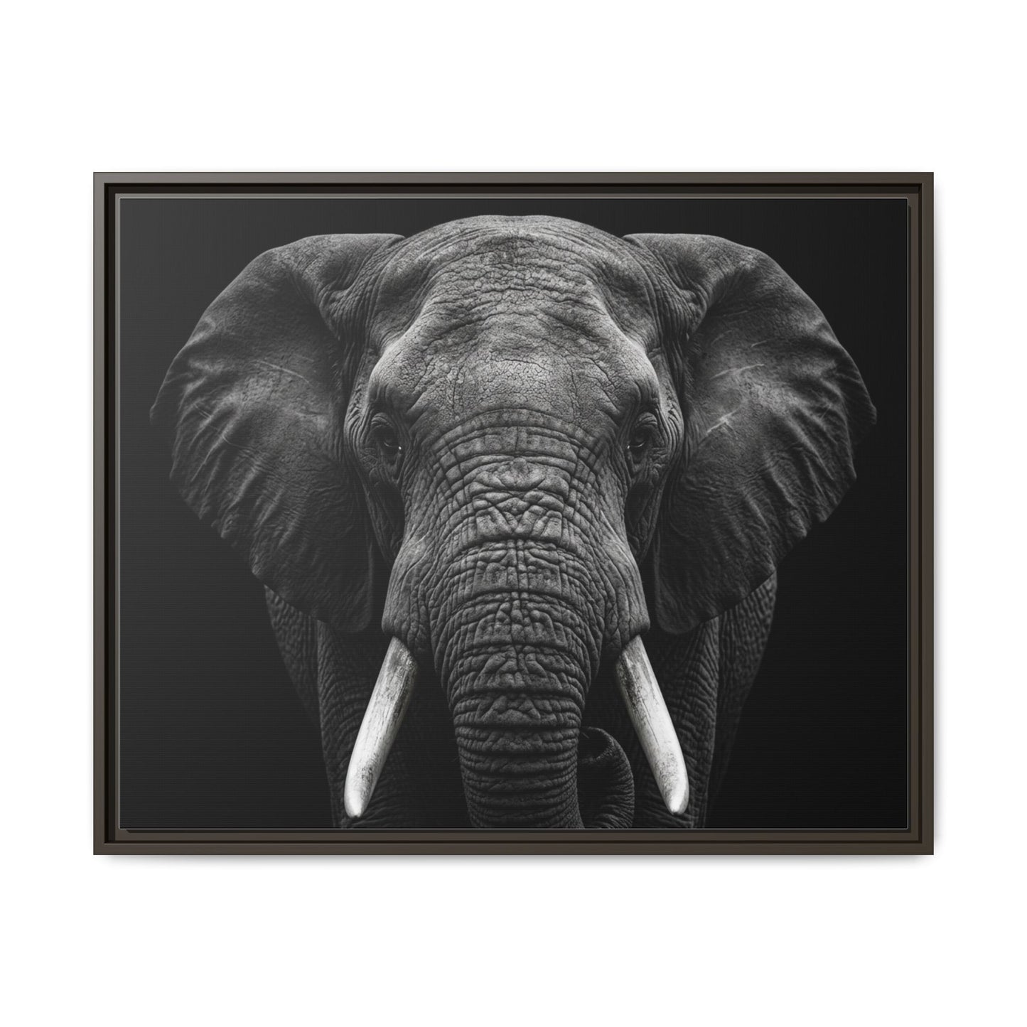 Framed Canvas Print — Elephant In Black