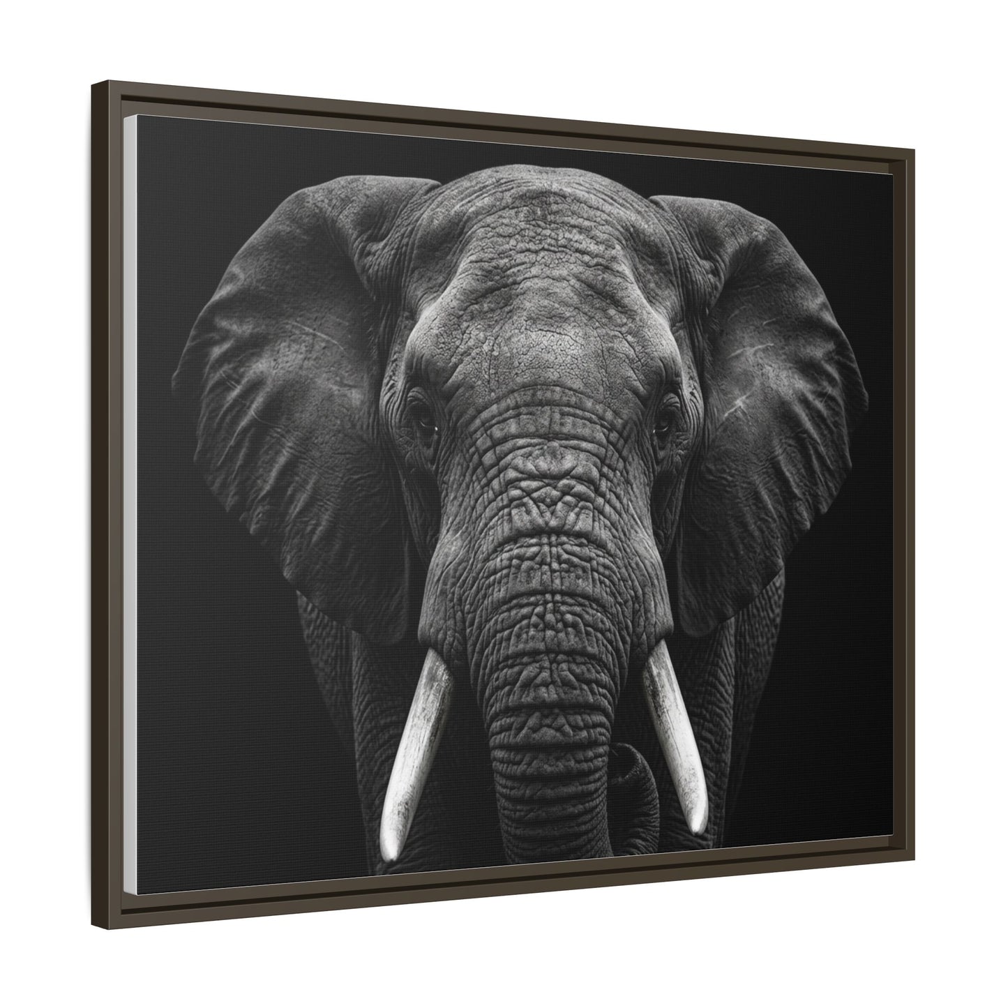 Framed Canvas Print — Elephant In Black