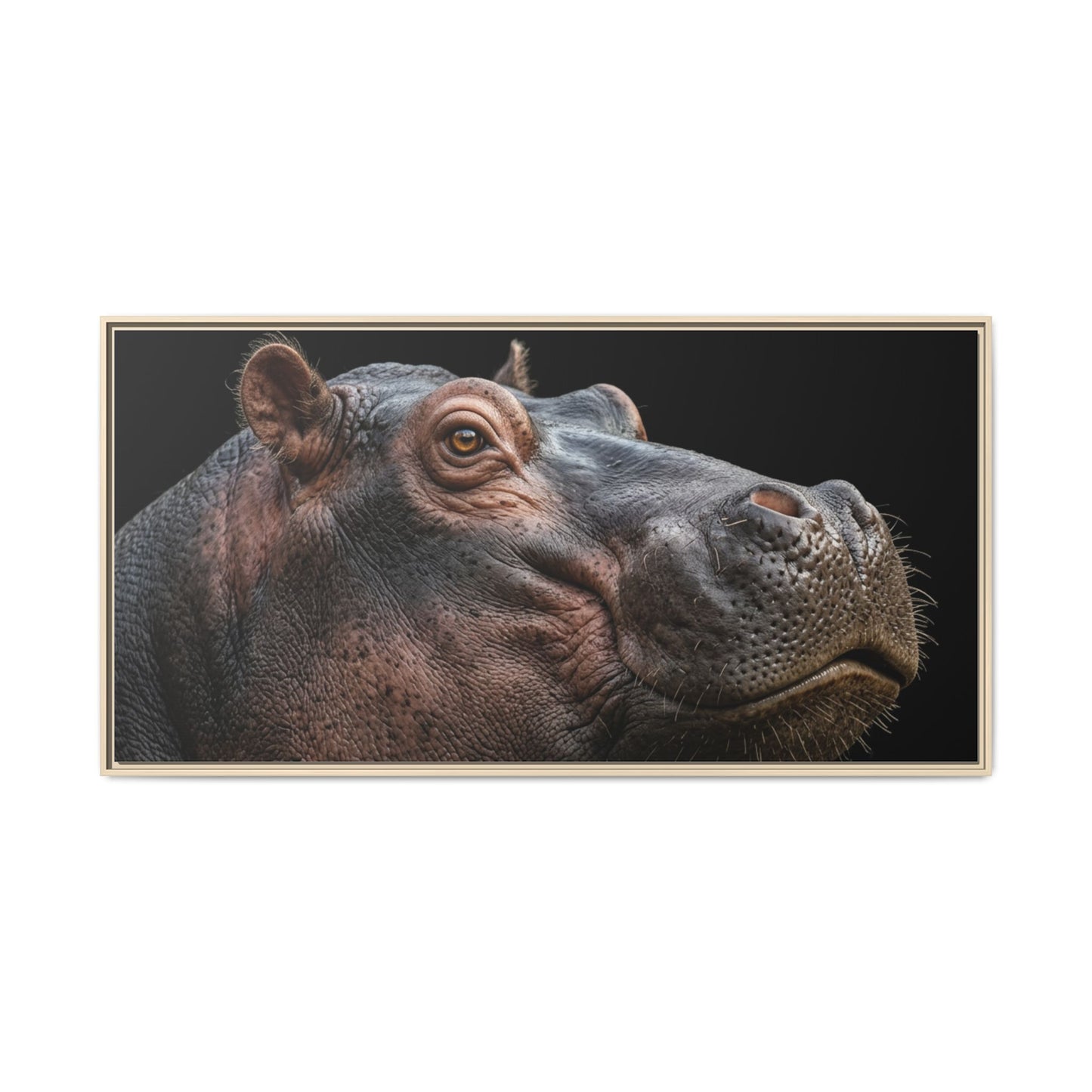 Framed Canvas Print — Hippopotamos In Colour