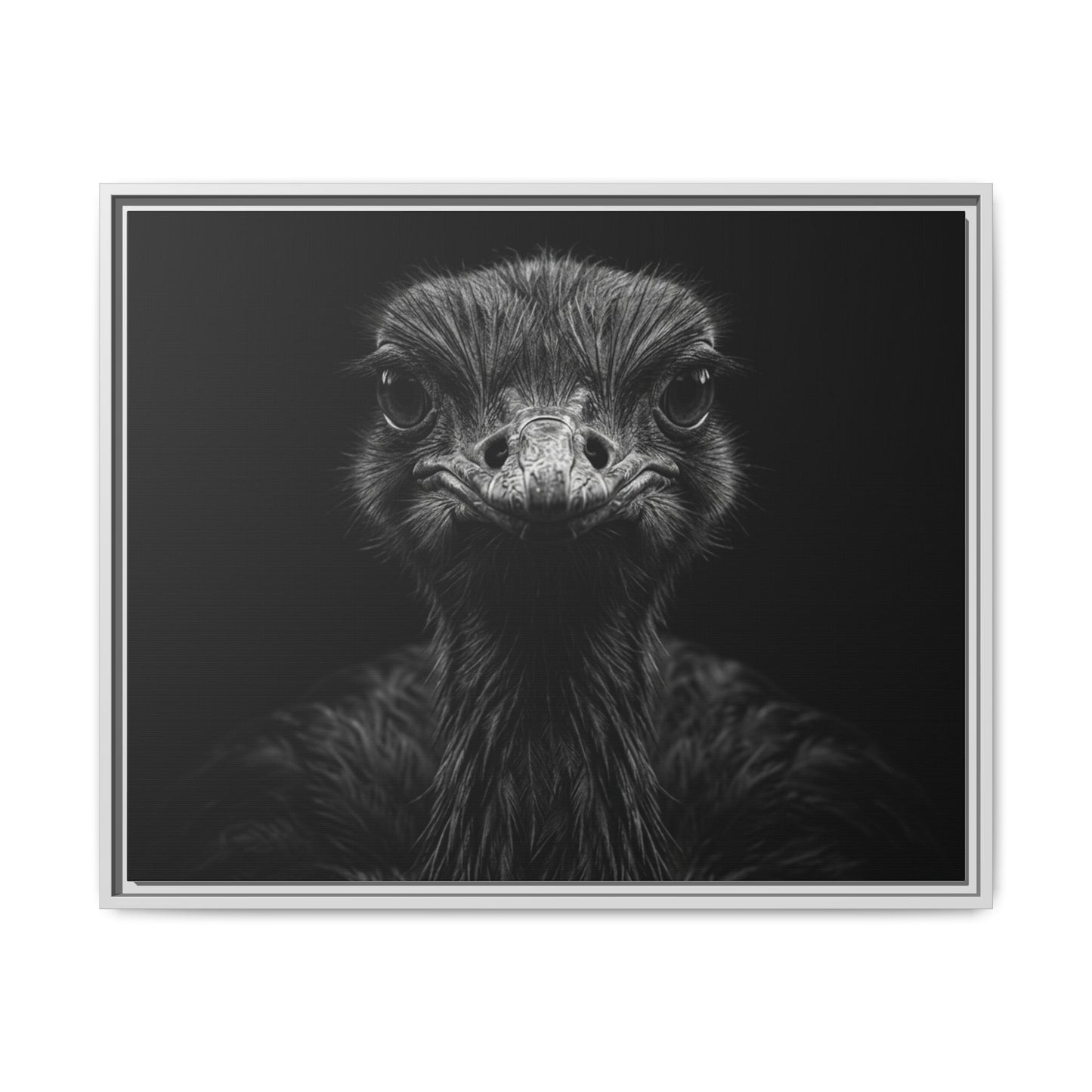 Framed Canvas Print — Ostrich In Black