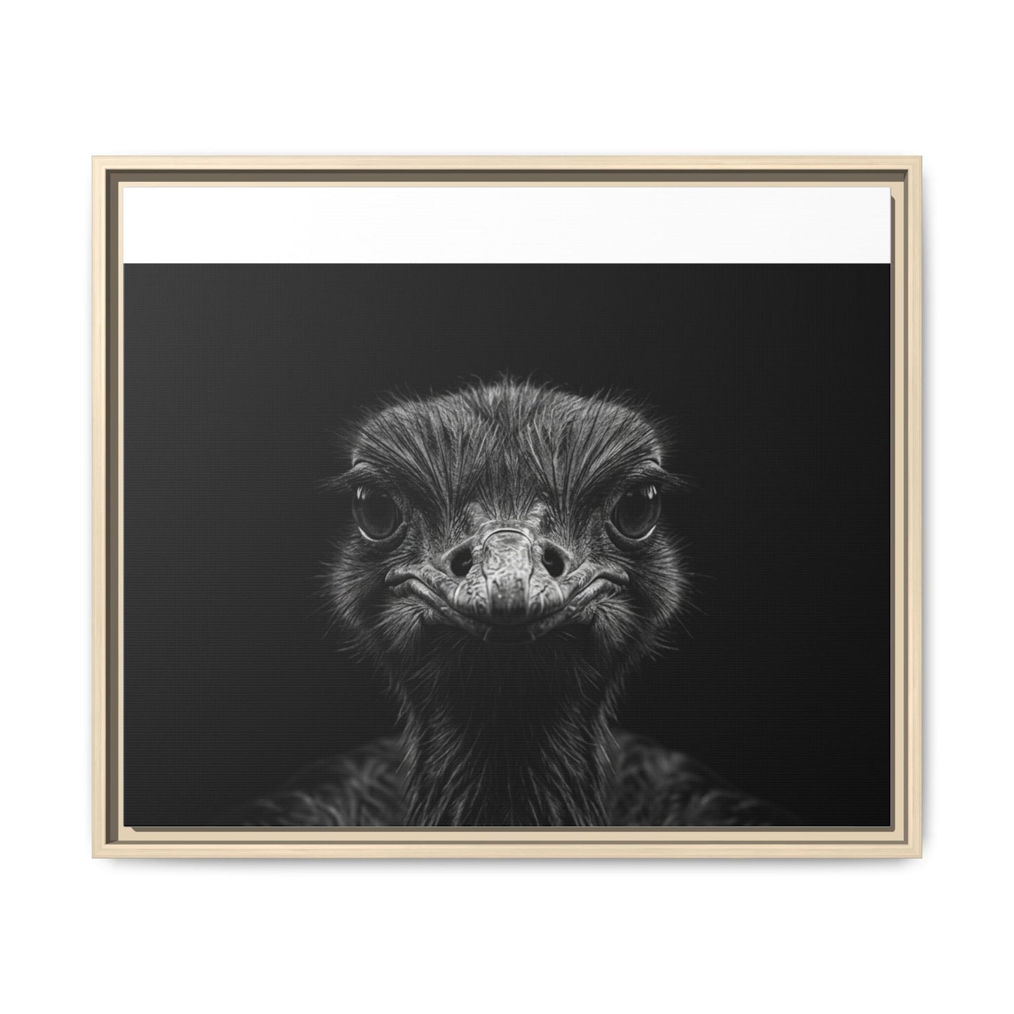 Framed Canvas Print — Ostrich In Black
