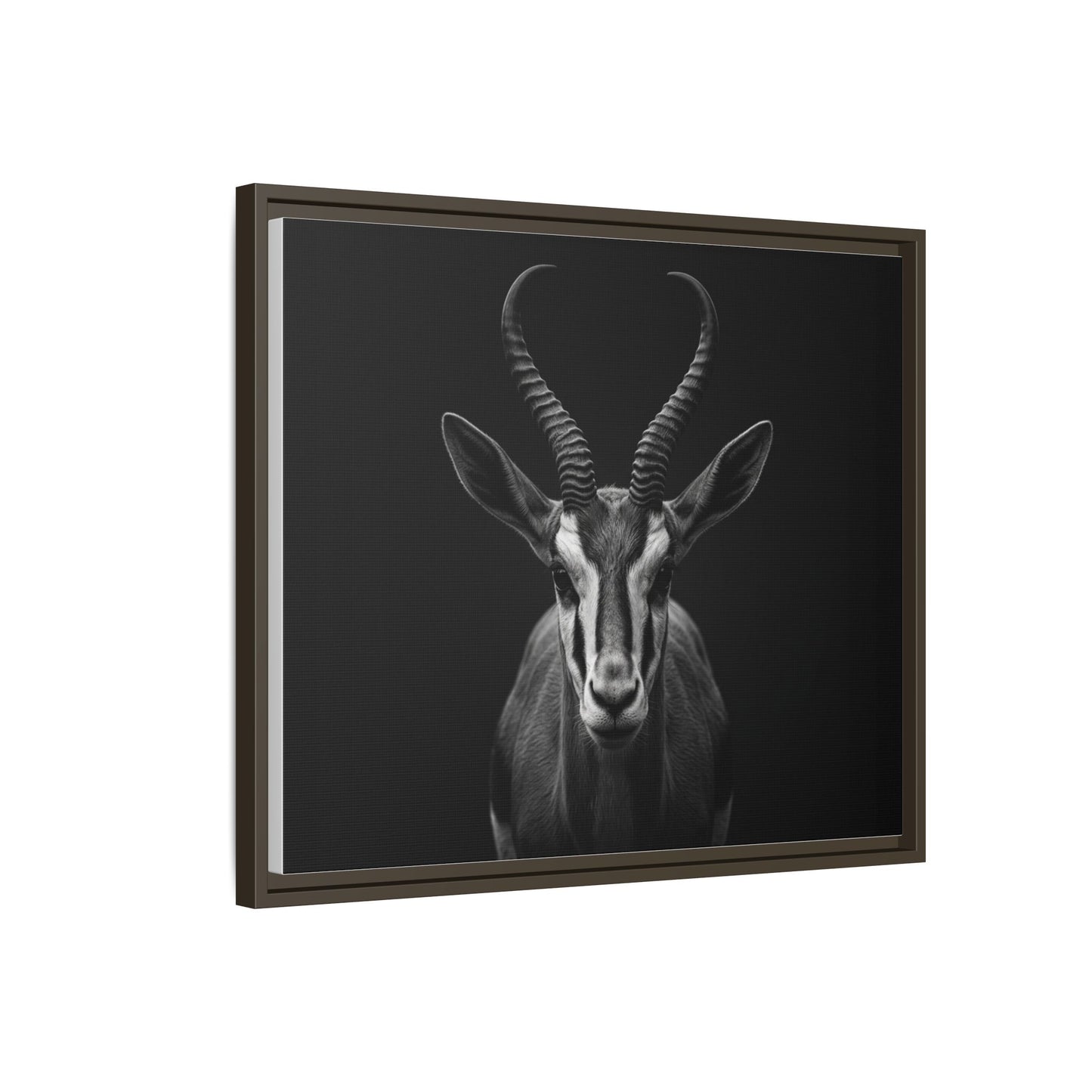 Framed Canvas Print — Springbok In Black