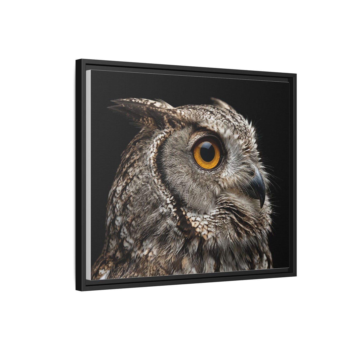 Framed Canvas Print — Scops Owl In Colour