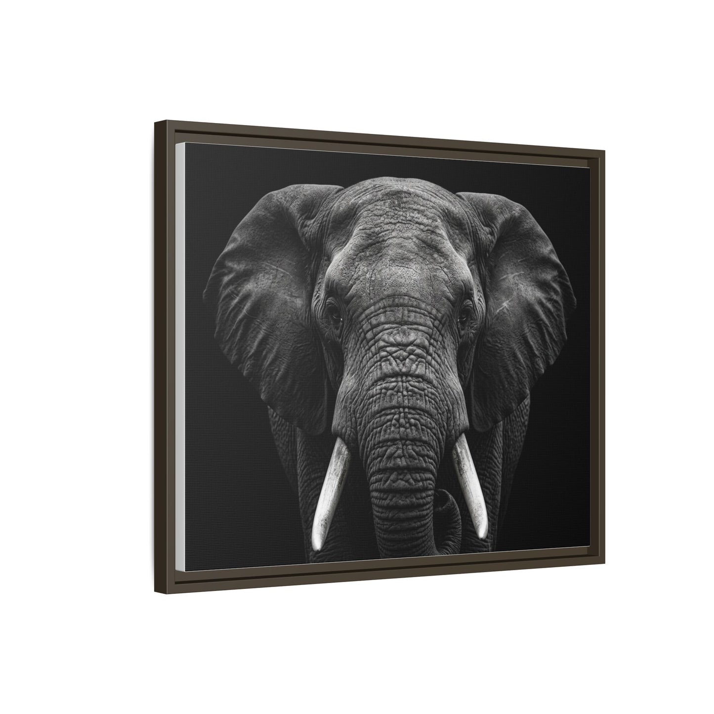 Framed Canvas Print — Elephant In Black