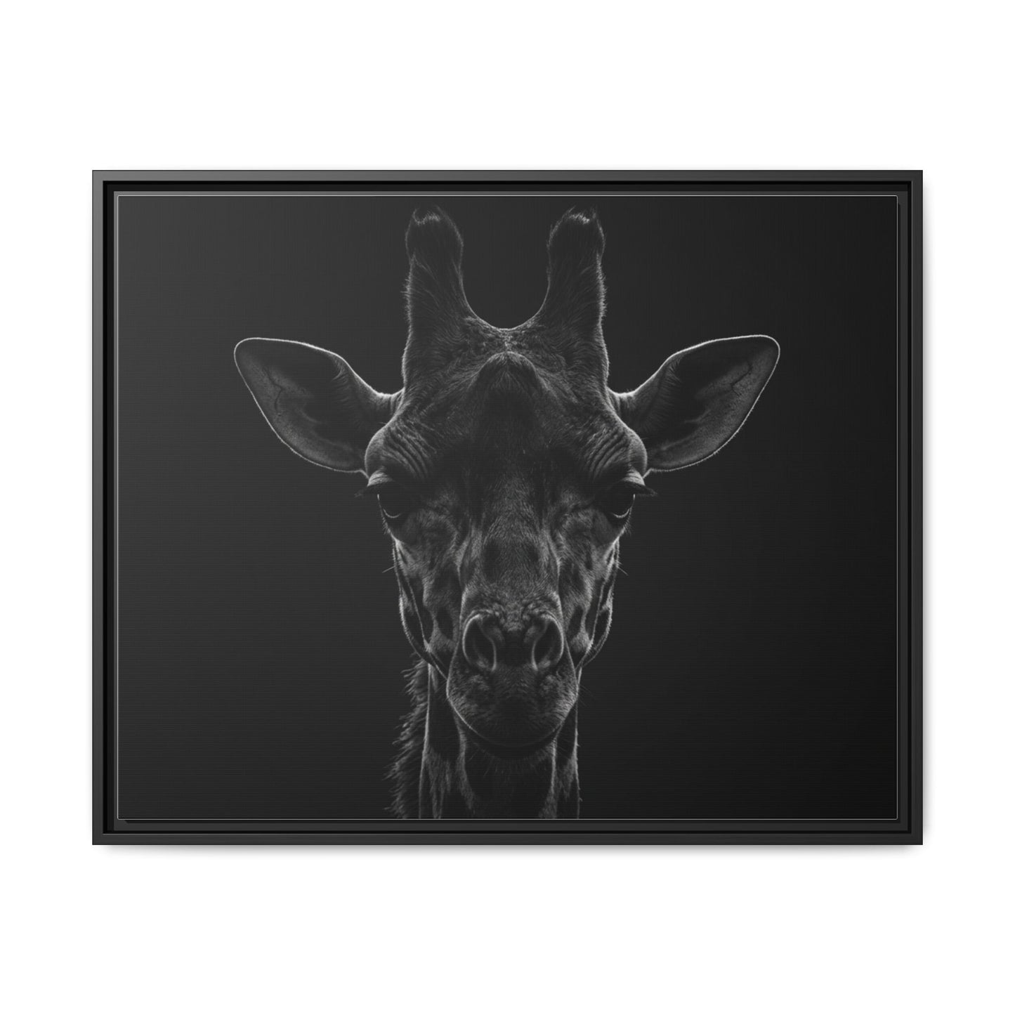Framed Canvas Print — Giraffe In Black