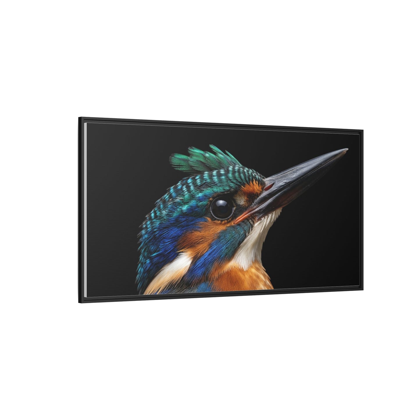 Framed Canvas Print — Malachite Kingfisher In Colour