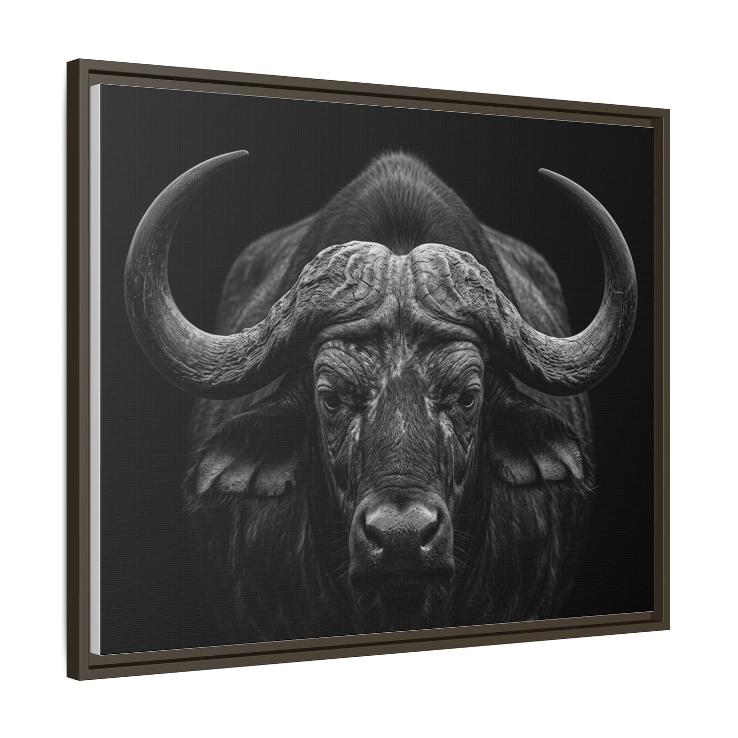 Framed Canvas Print — Cape Buffalo In Black