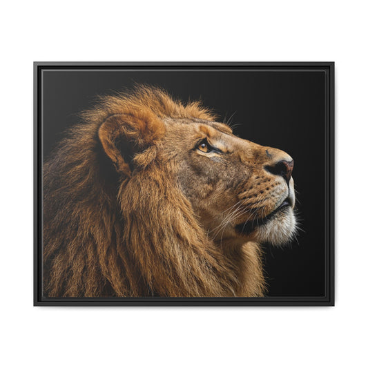 Framed Canvas Print — Lion In Colour