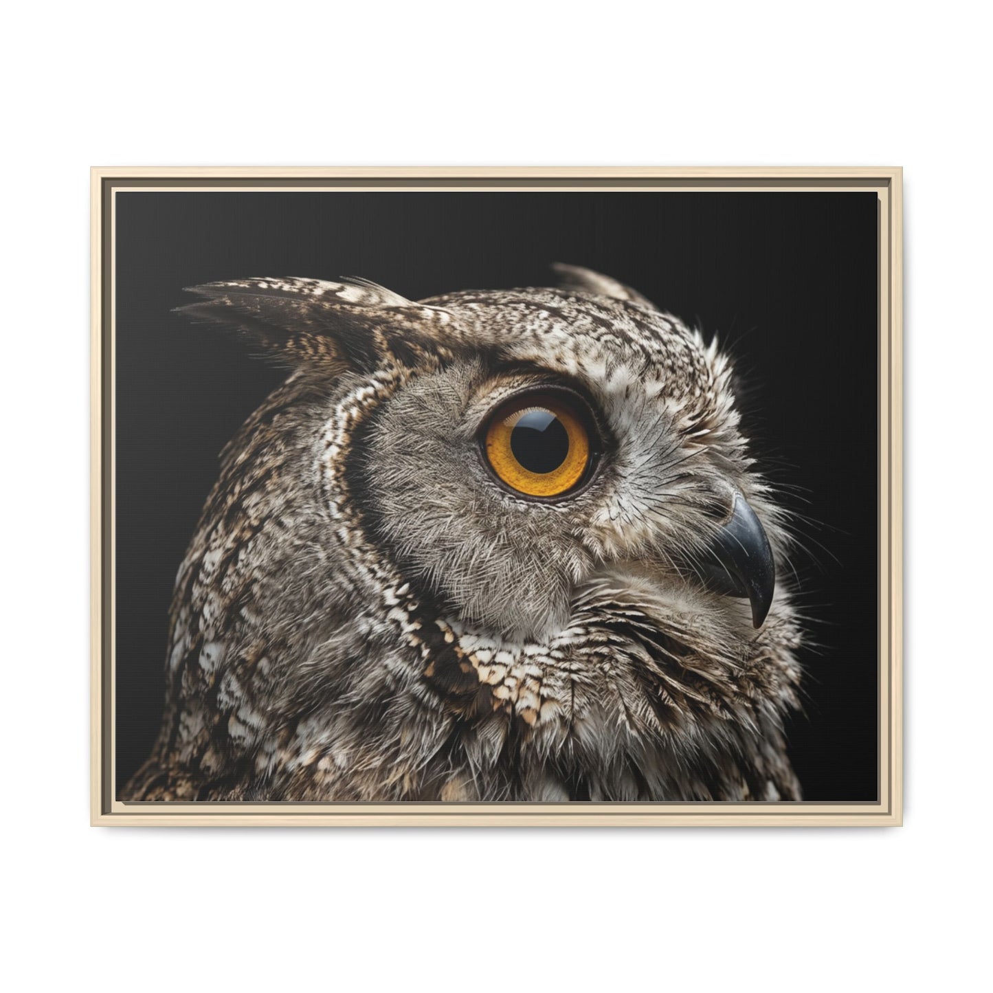 Framed Canvas Print — Scops Owl In Colour