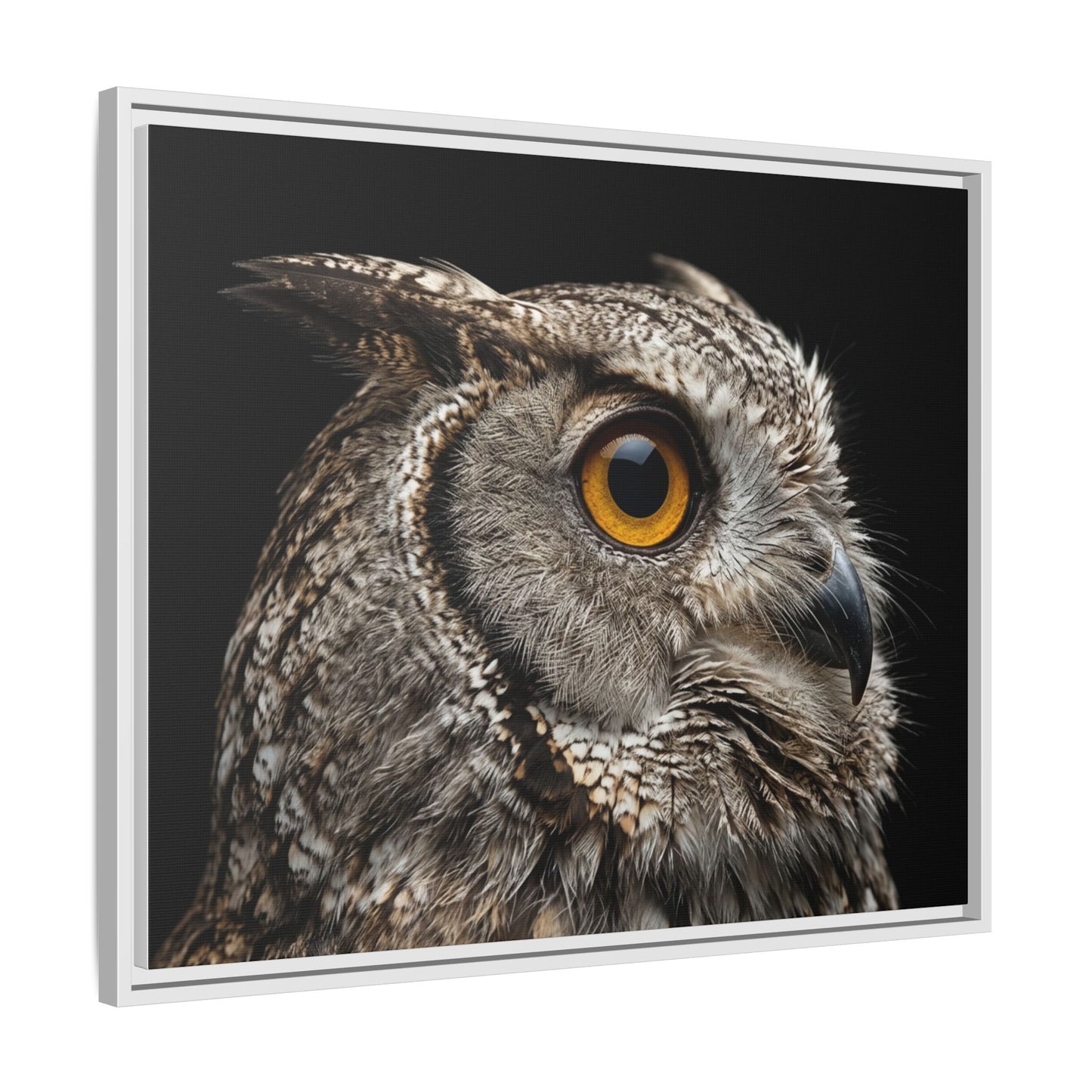 Framed Canvas Print — Scops Owl In Colour