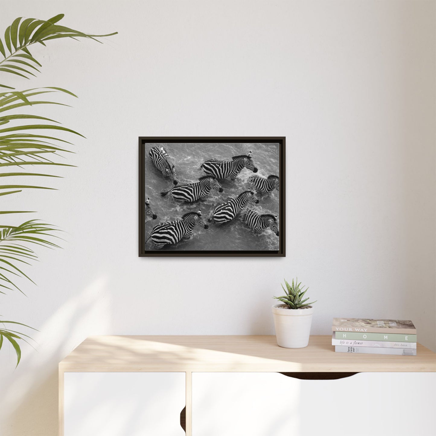 Framed Canvas Print — Zebras In The River