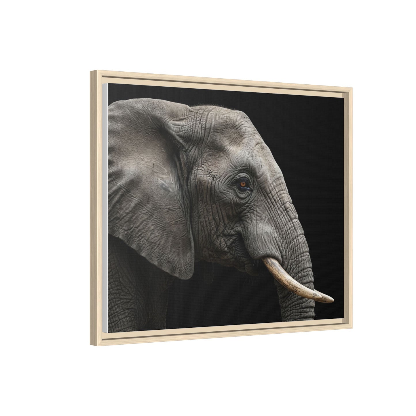 Framed Canvas Print — Elephant In Colour