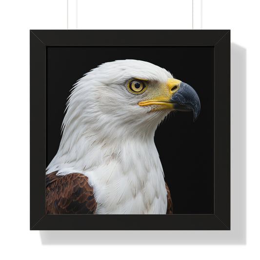 Framed Art Print – Fish Eagle In Colour