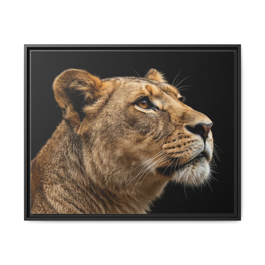 Framed Canvas Print — Lioness In Colour