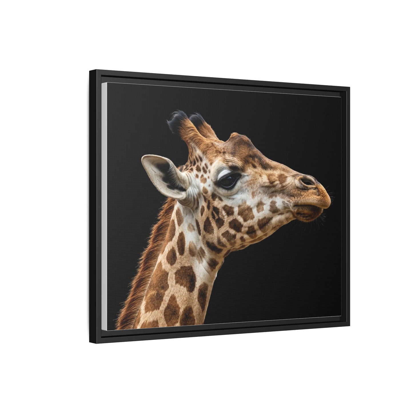 Framed Canvas Print — Giraffe In Colour