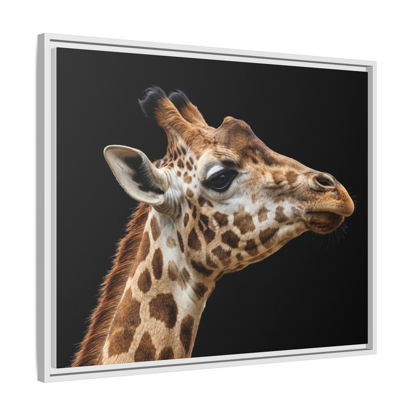 Framed Canvas Print — Giraffe In Colour