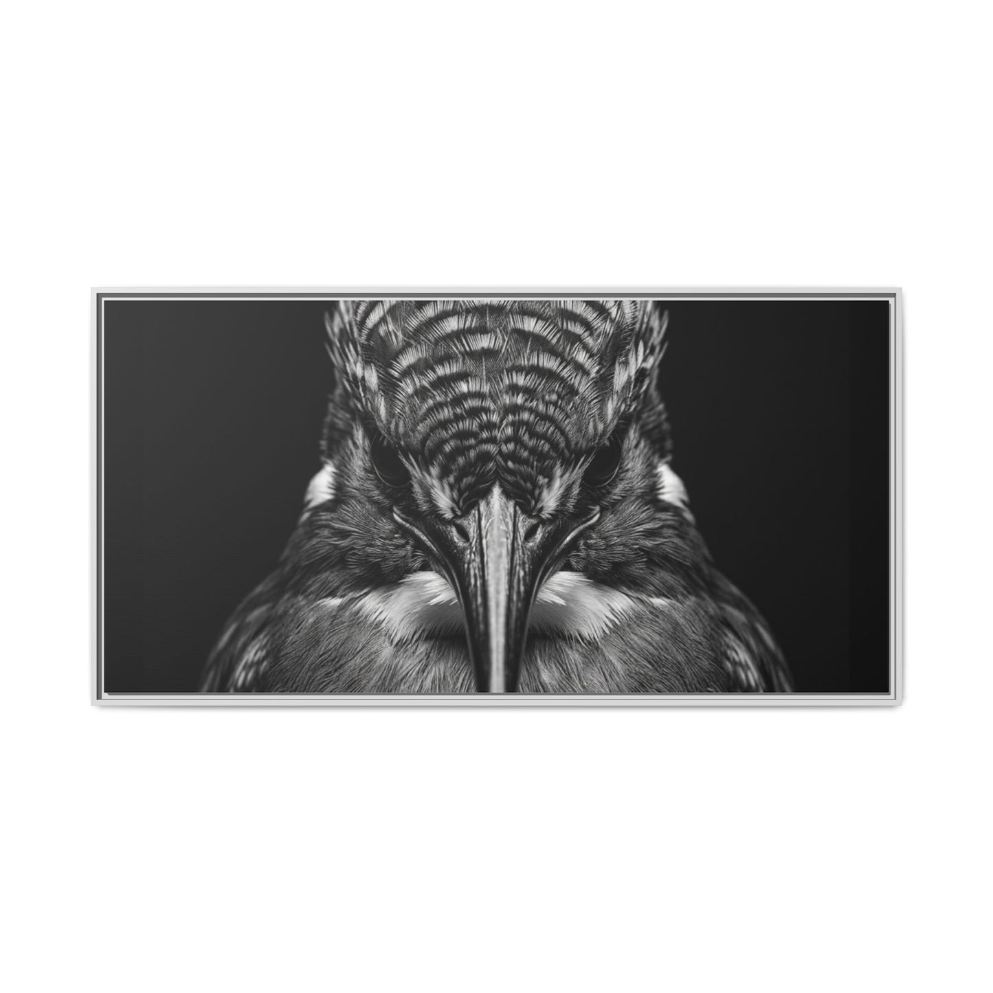 Framed Canvas Print — Malachite Kingfisher In Black