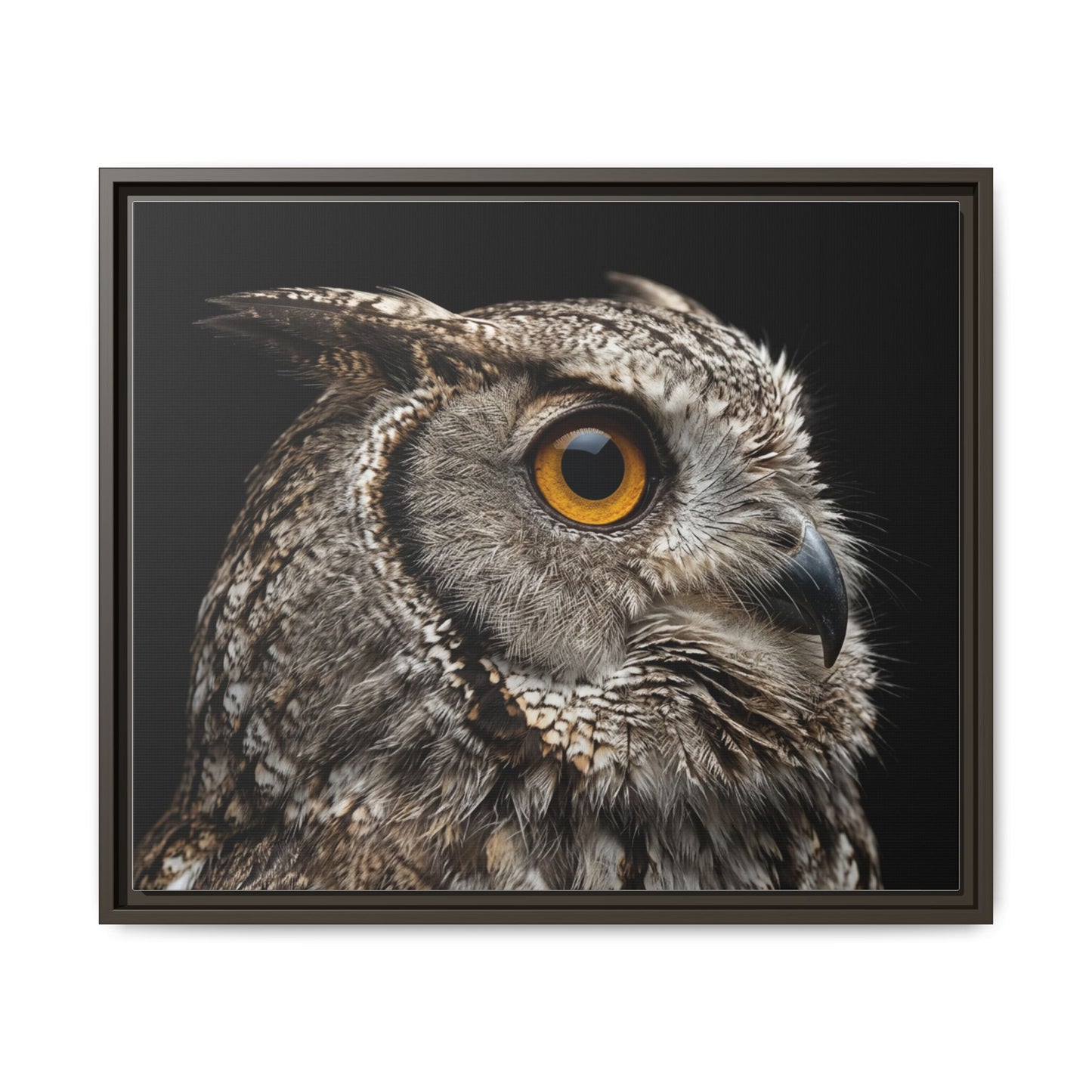 Framed Canvas Print — Scops Owl In Colour
