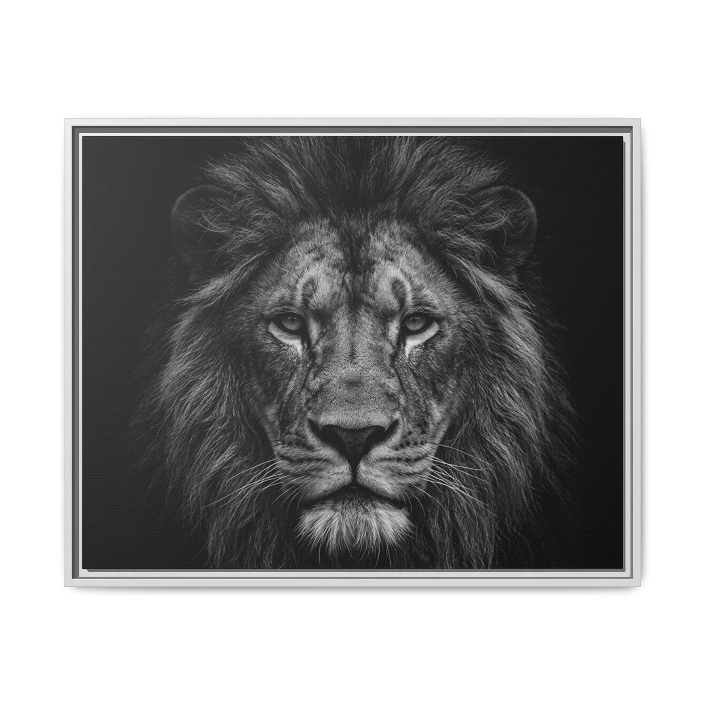 Framed Canvas Print — Lion In Black