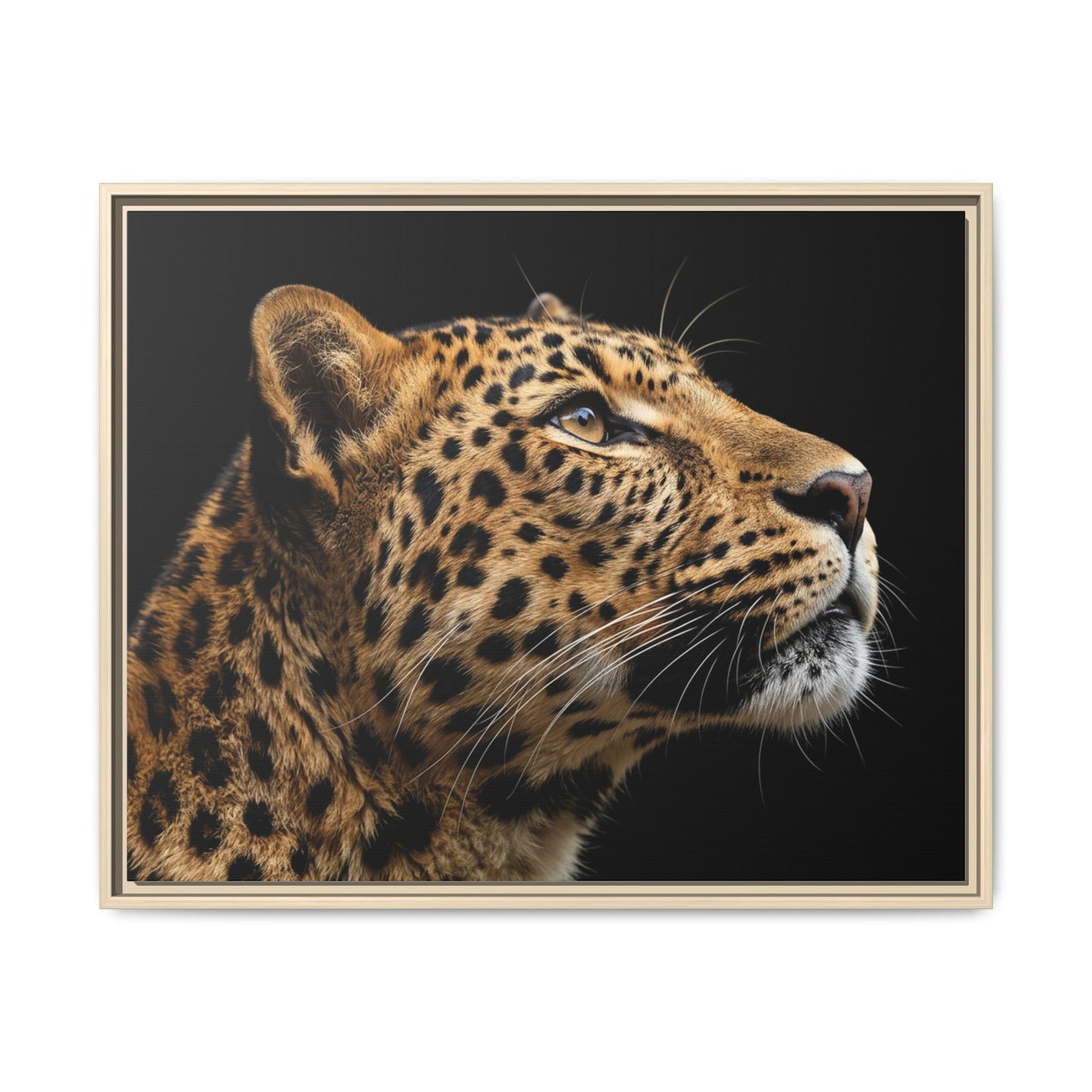 Framed Canvas Print — Leopard In Colour