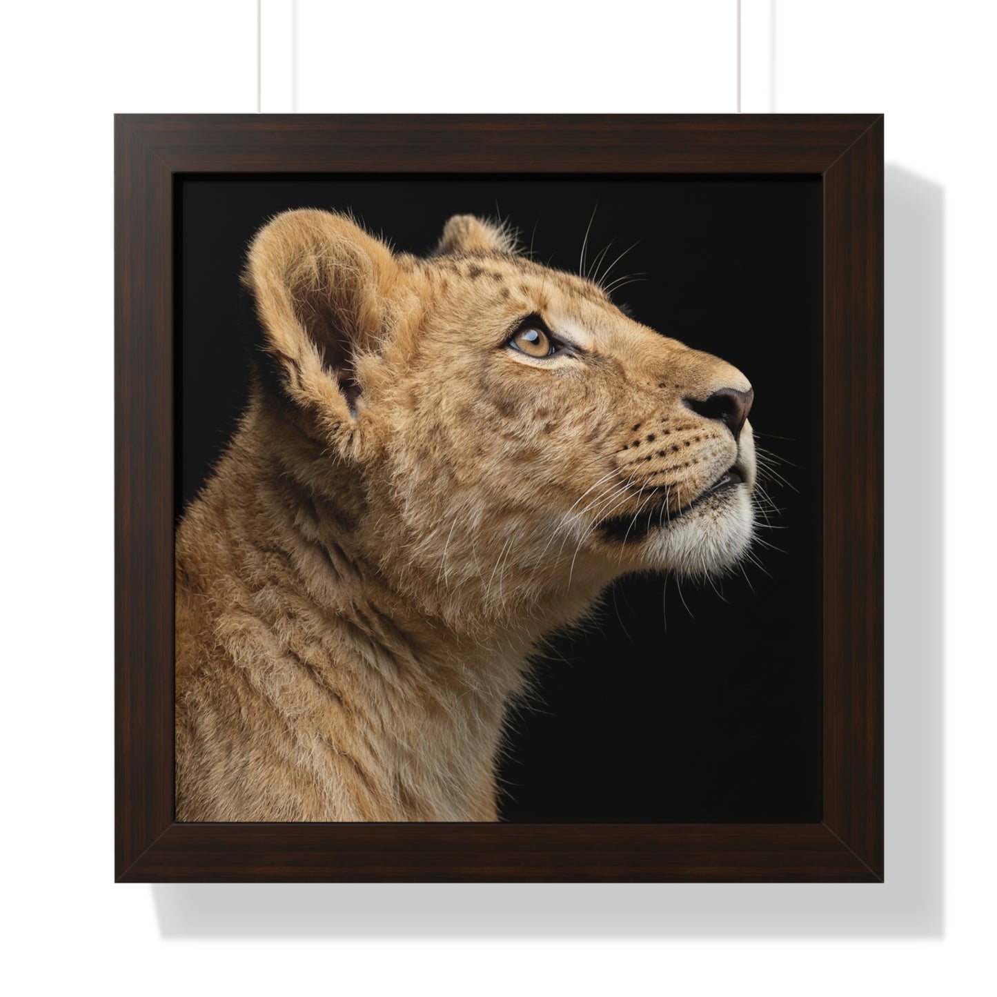 Framed Art Print – Lion Cub In Colour