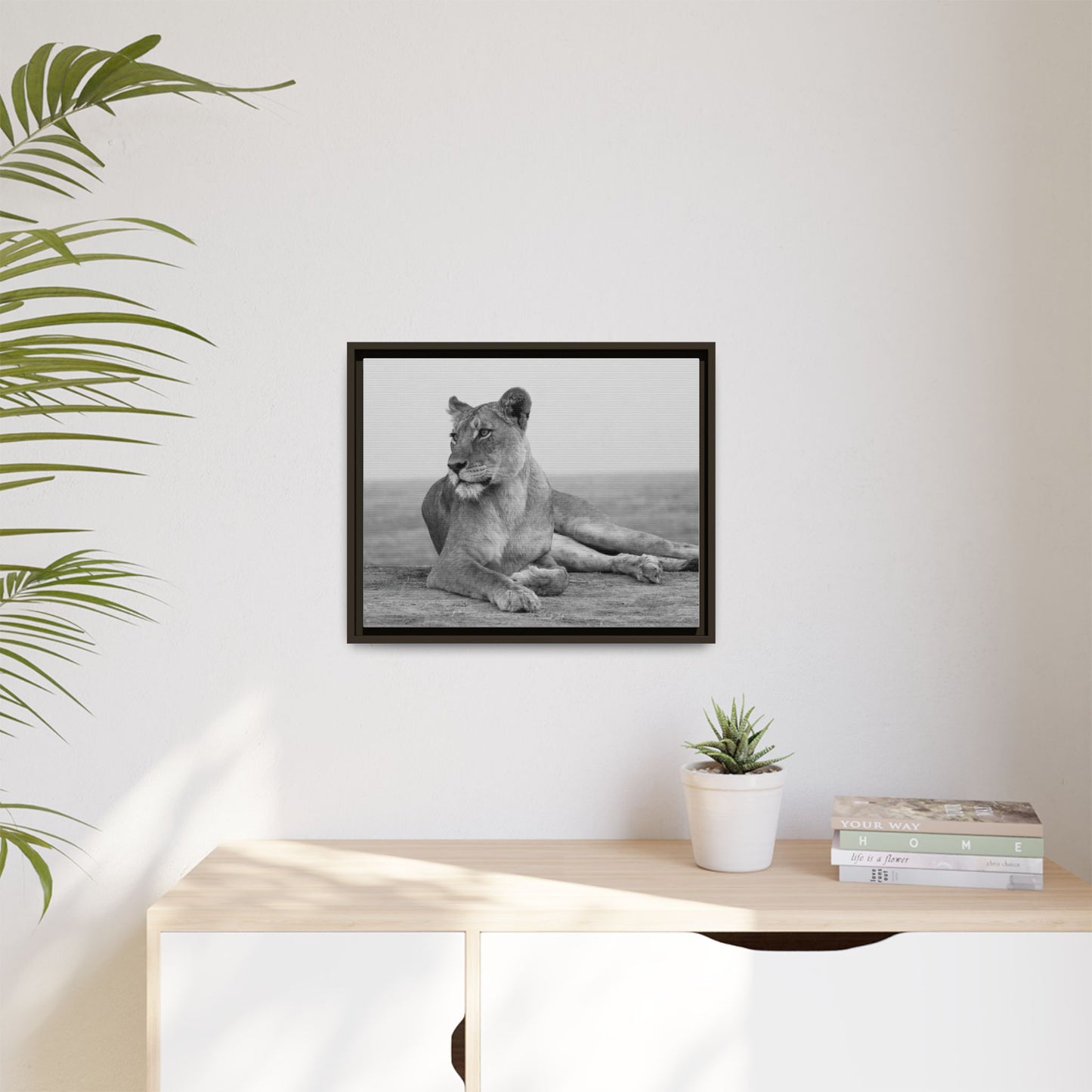 Framed Canvas Print — Lioness In Repose