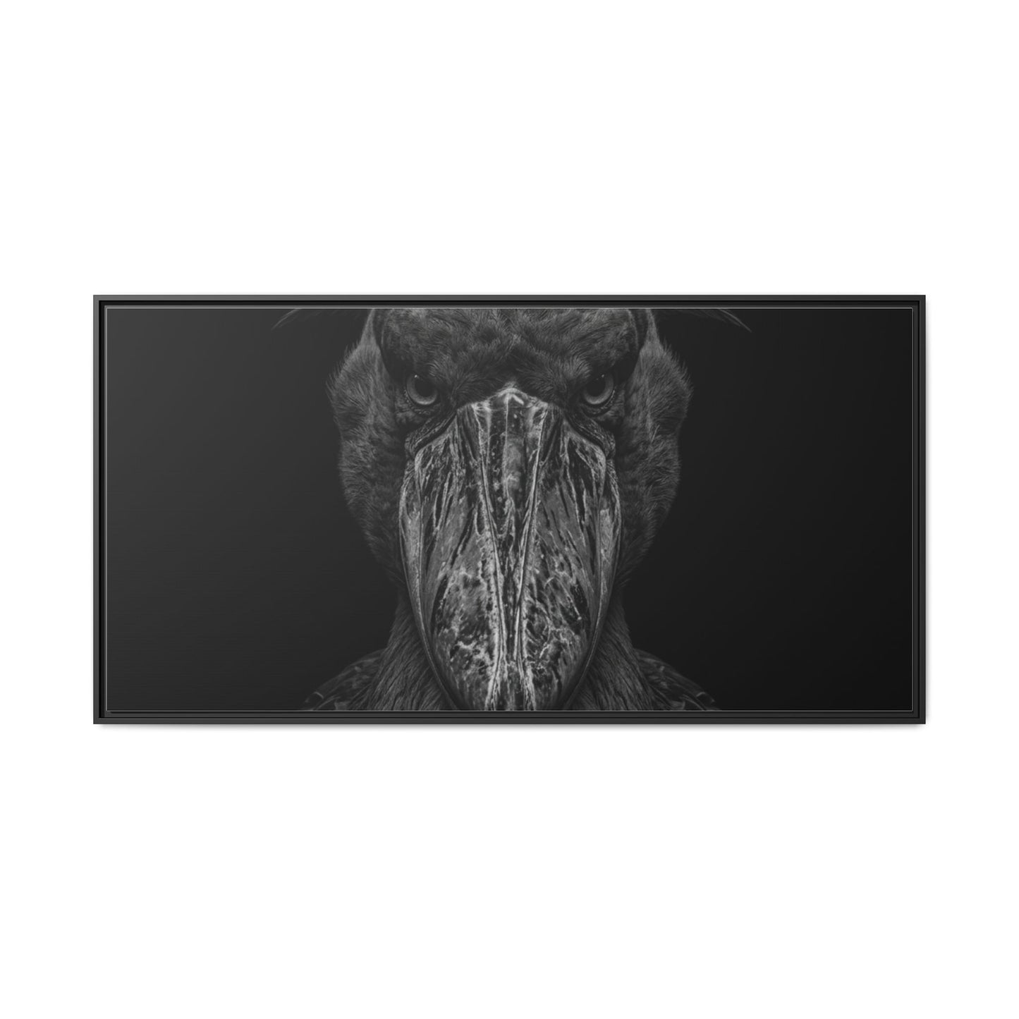Framed Canvas Print — Shoebill Stock In Black