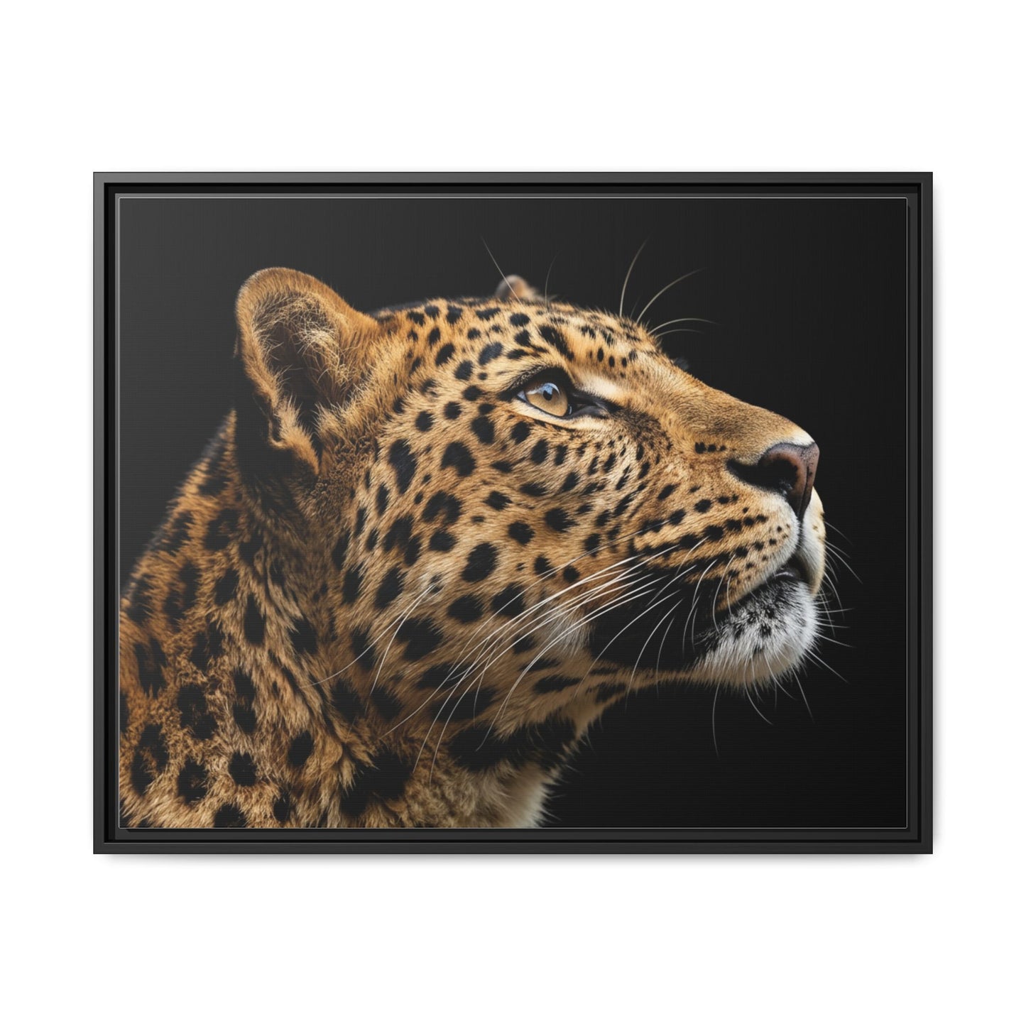 Framed Canvas Print — Leopard In Colour