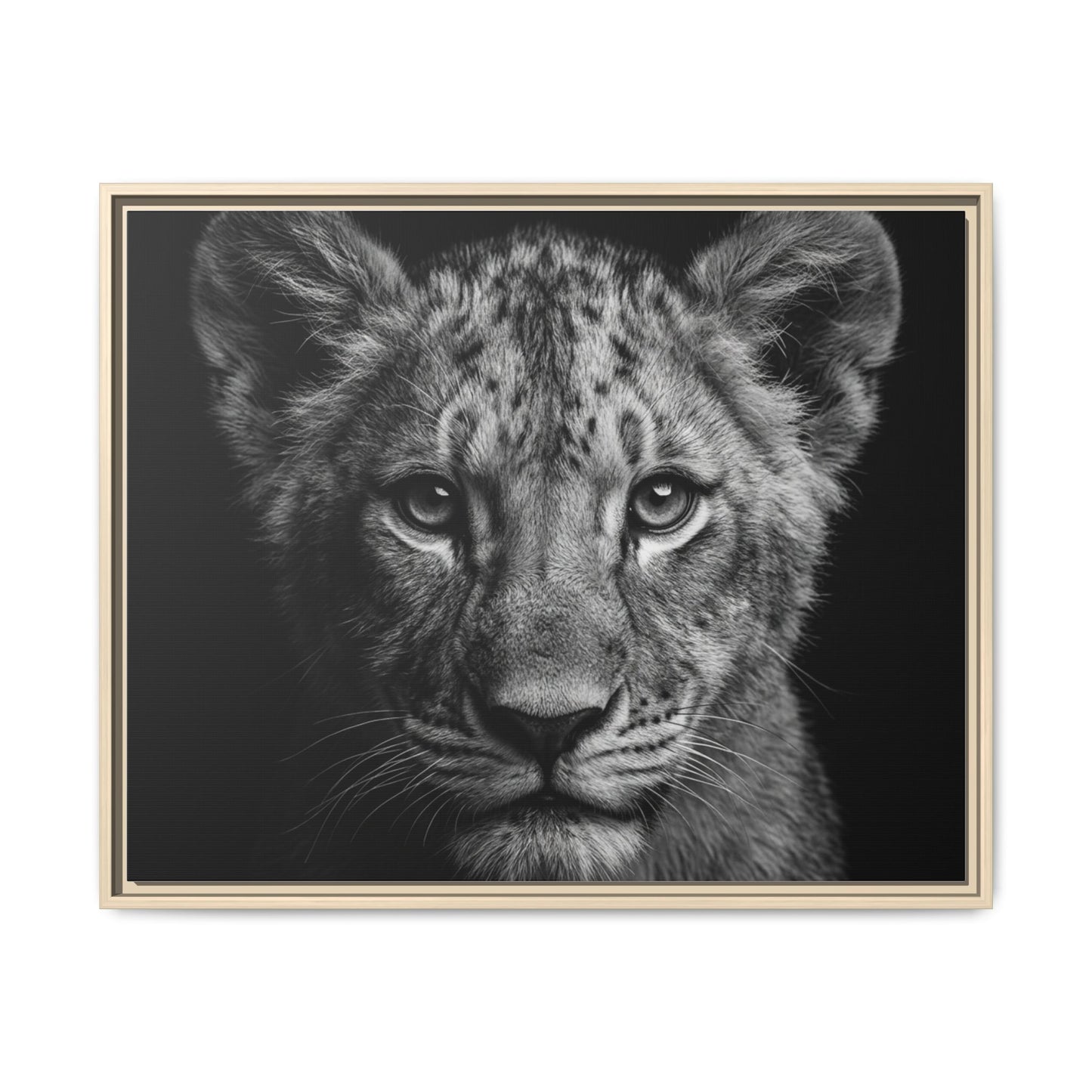 Framed Canvas Print — Lion Cub In Black