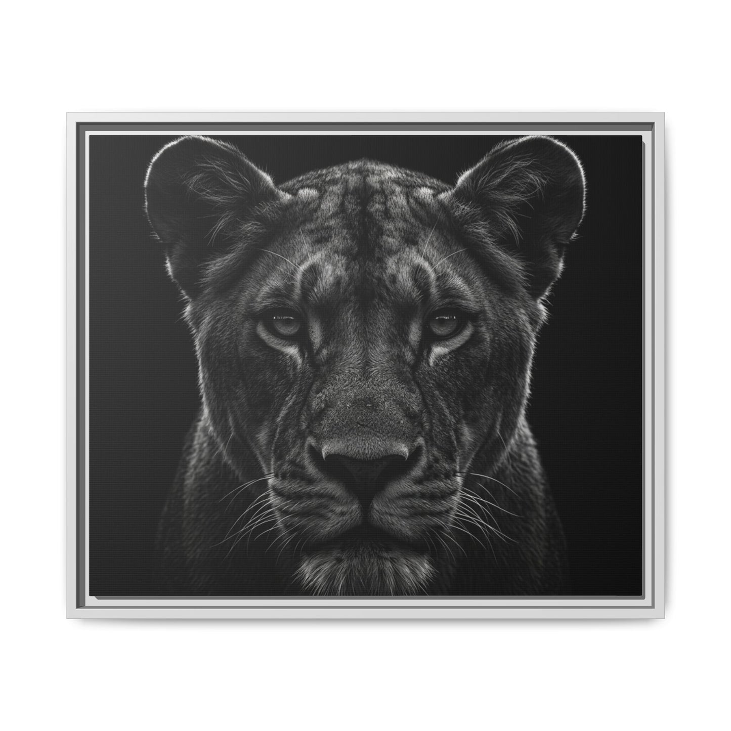 Framed Canvas Print — Lioness In Black