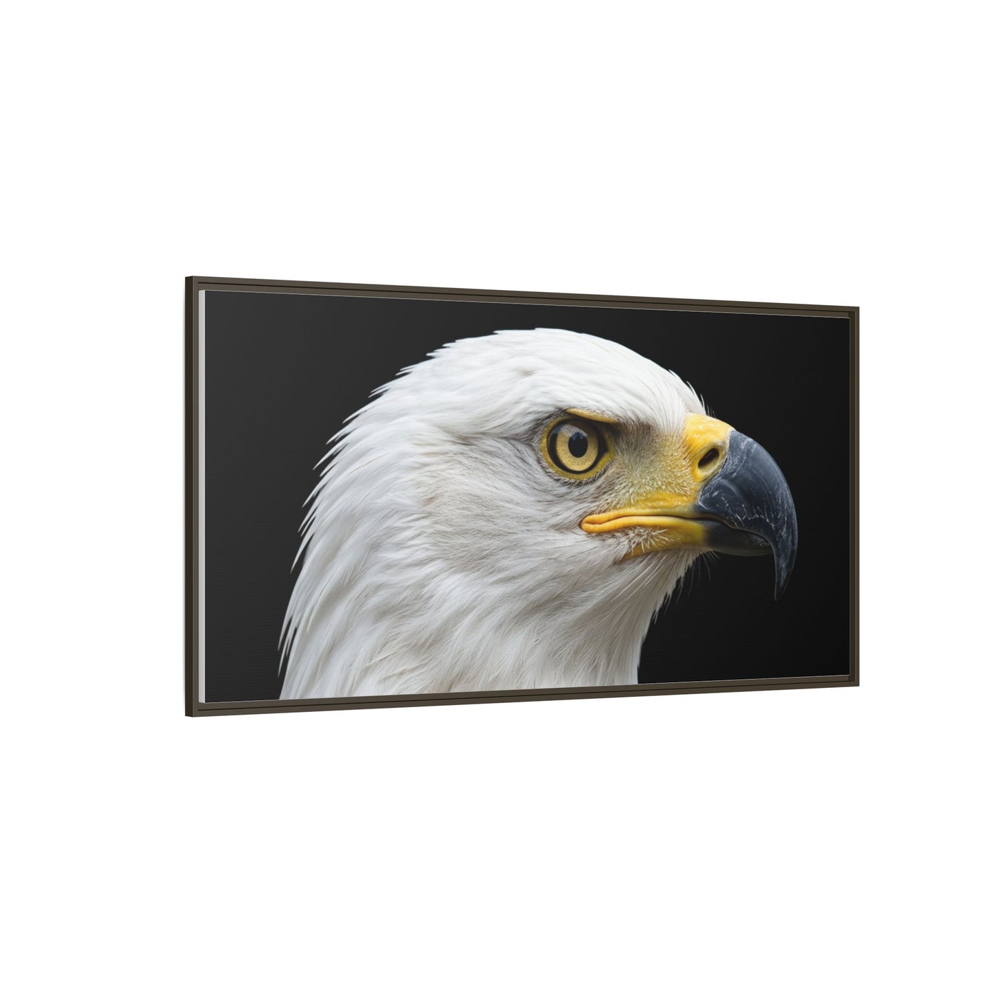 Framed Canvas Print — Fish Eagle In Colour