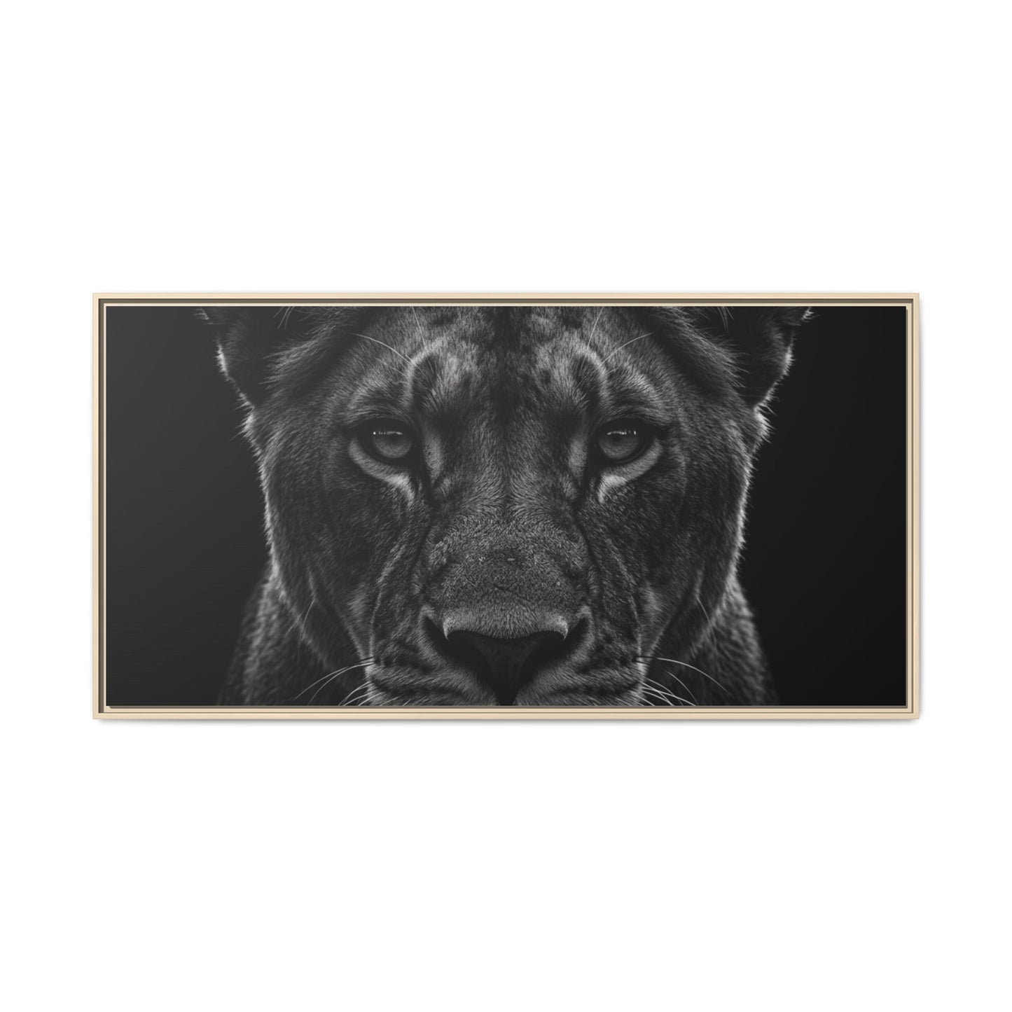 Framed Canvas Print — Lioness In Black