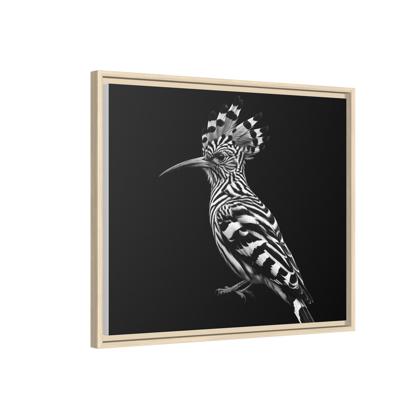Framed Canvas Print — Afrikan Hoopoe In Black