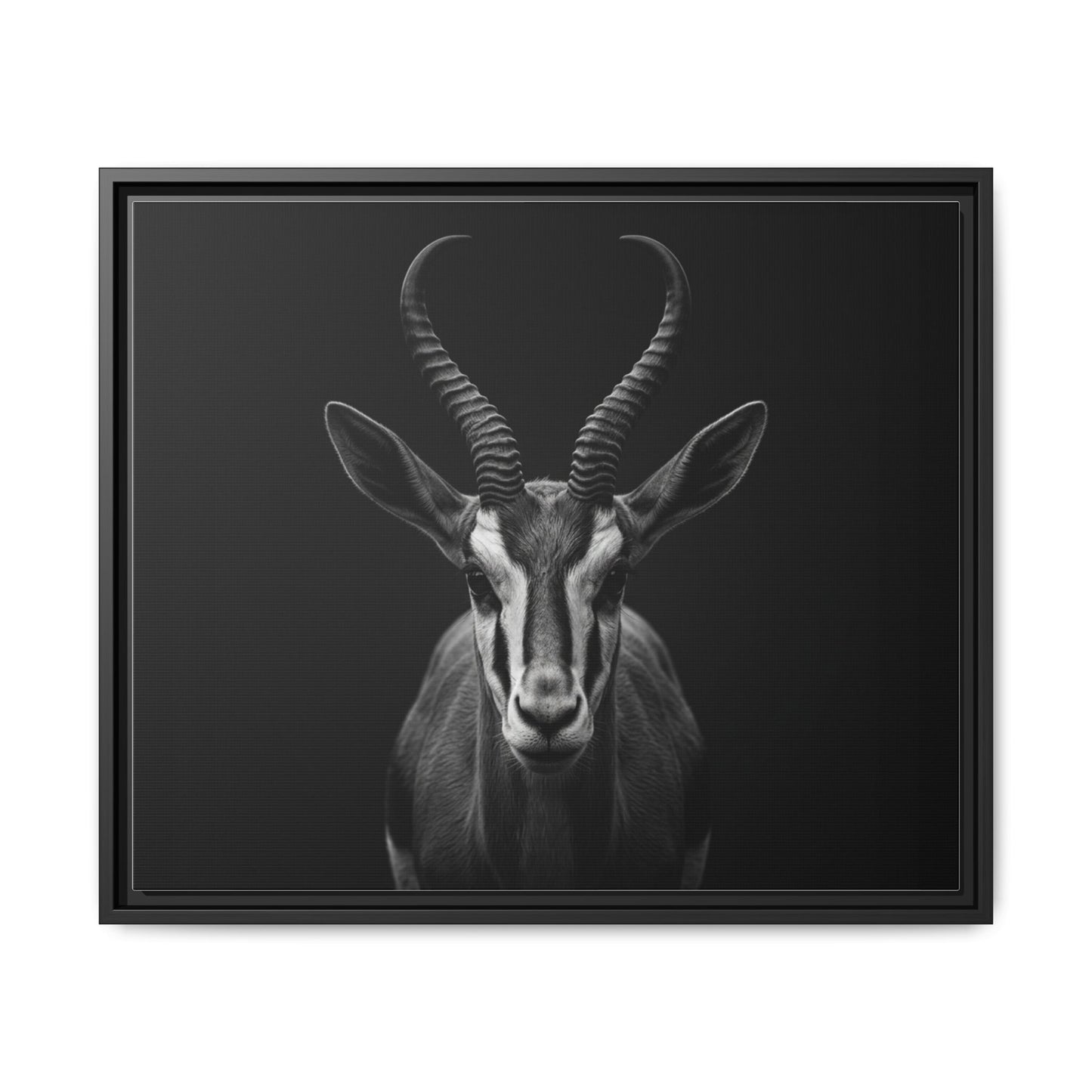 Framed Canvas Print — Springbok In Black