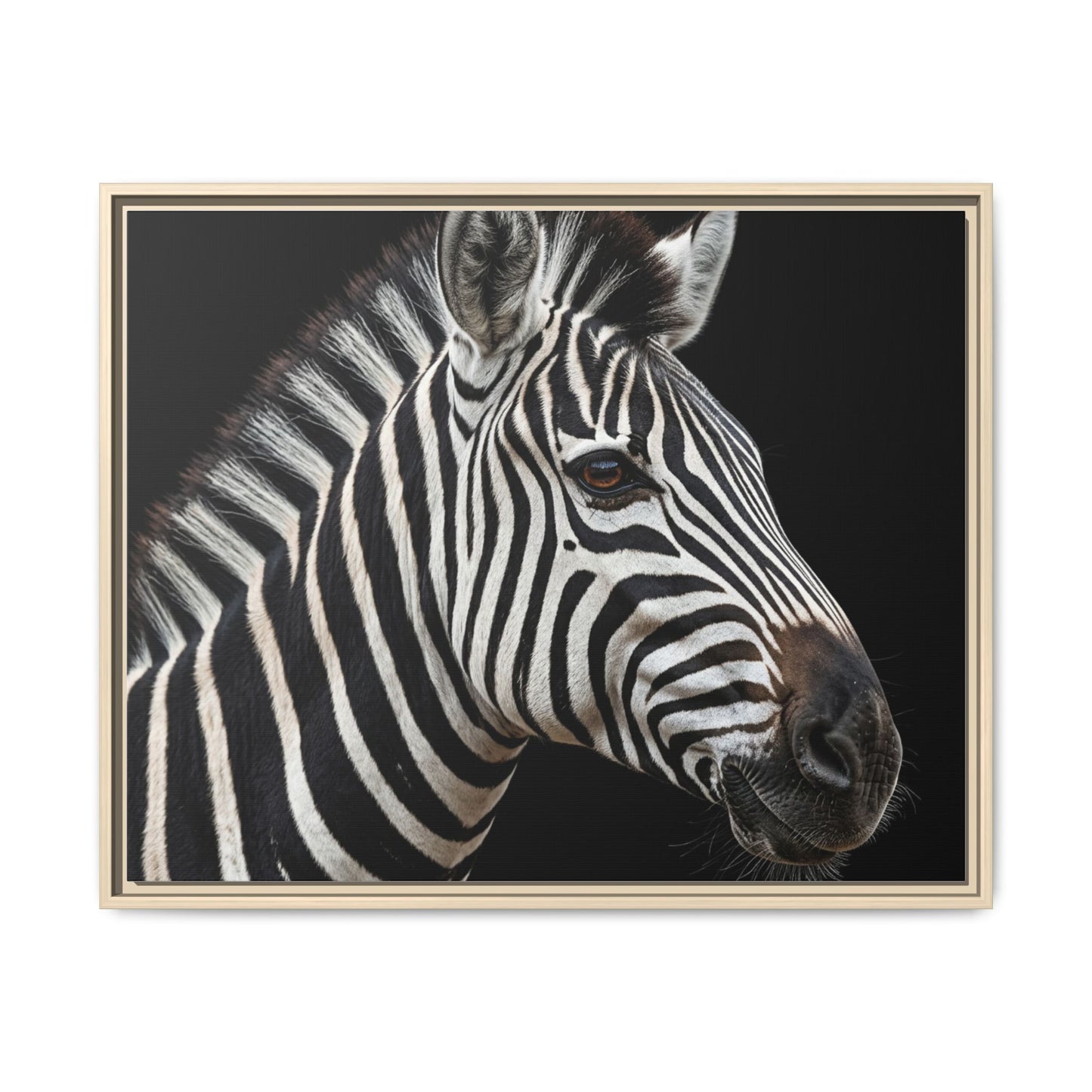Framed Canvas Print — Zebra In Colour
