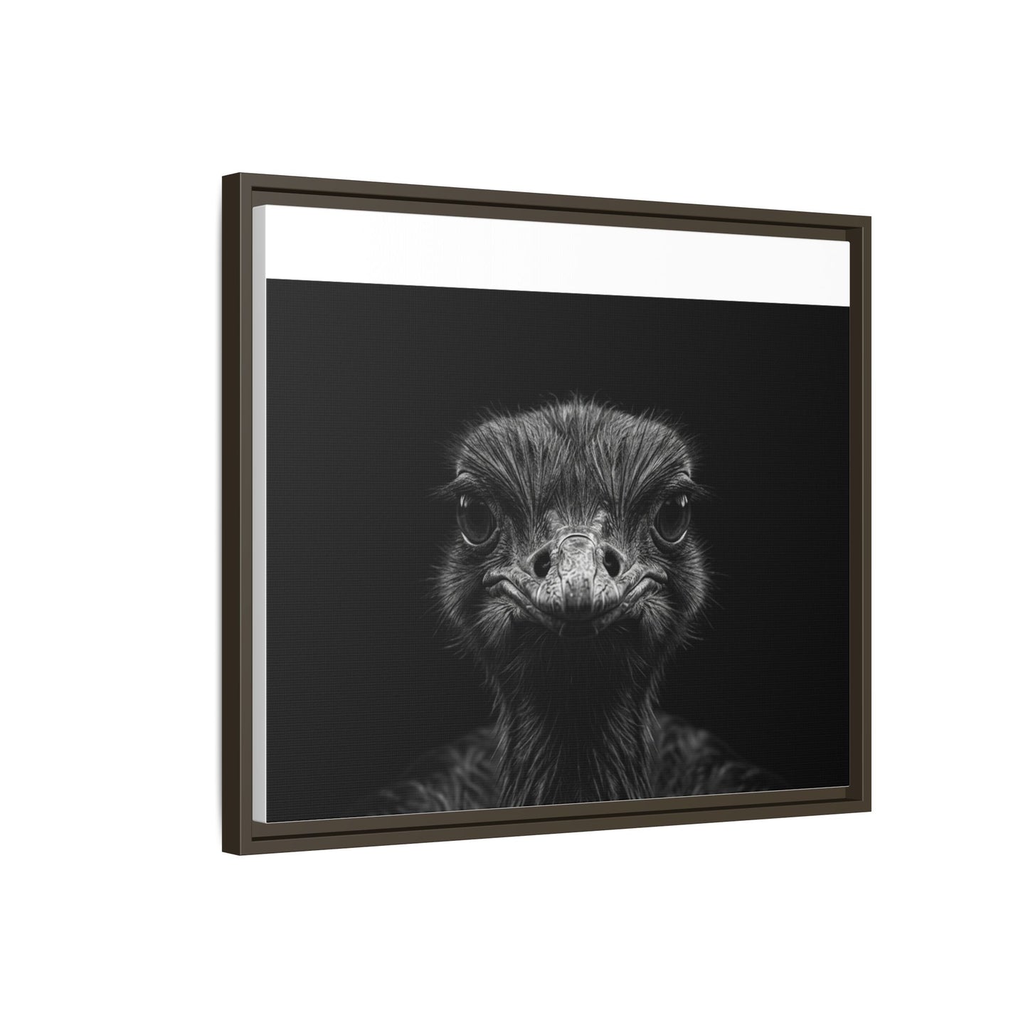 Framed Canvas Print — Ostrich In Black
