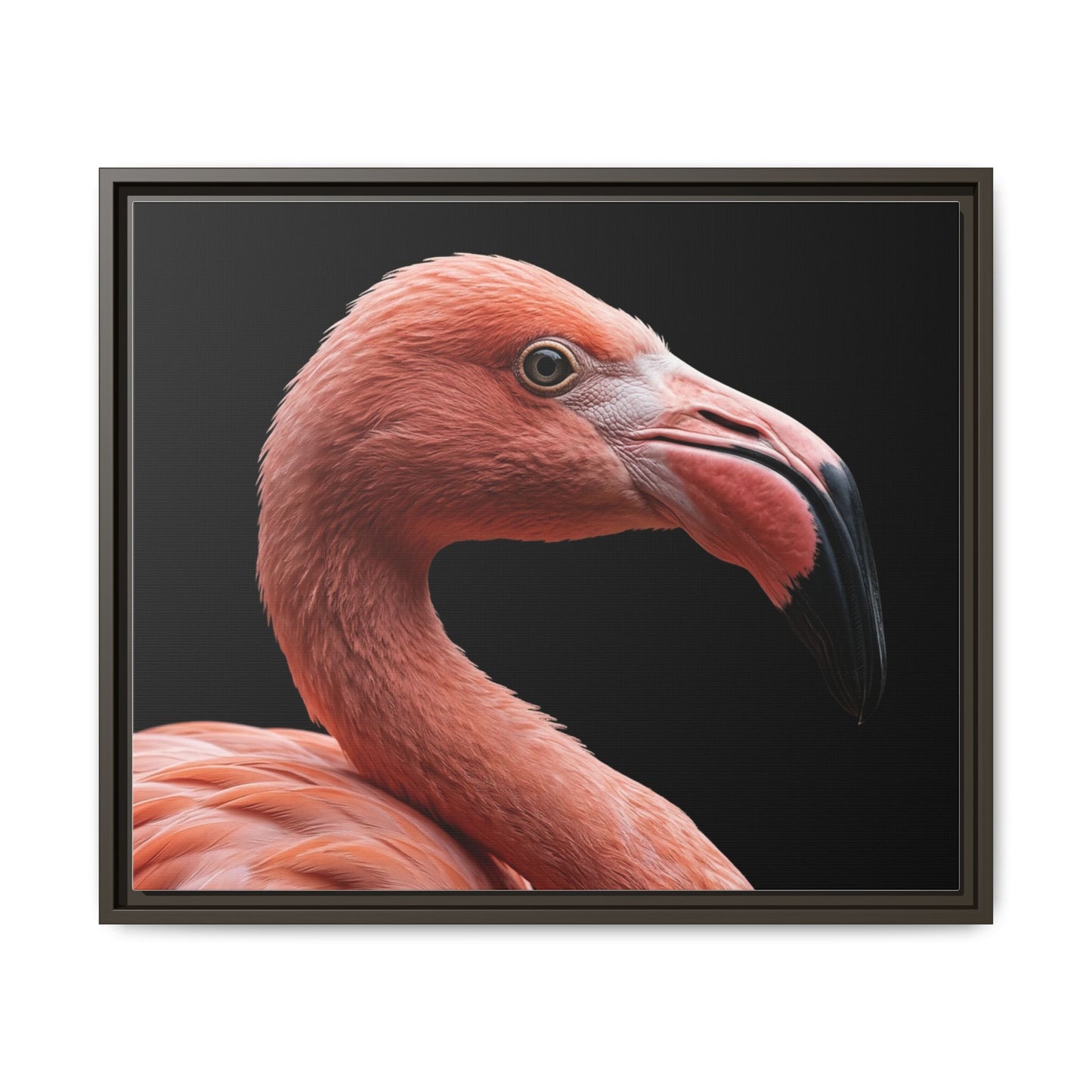 Framed Canvas Print — Flamingo In Colour