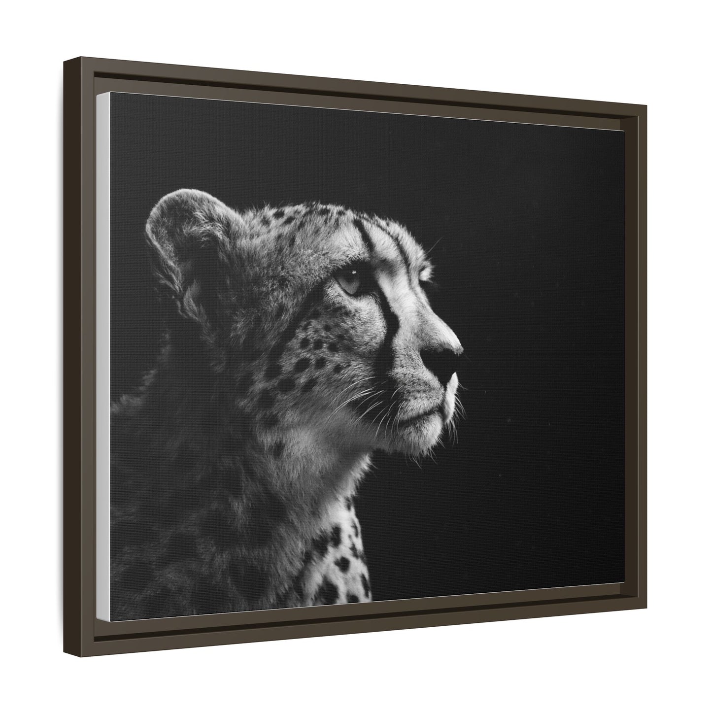 Framed Canvas Print — Cheetah Gaze