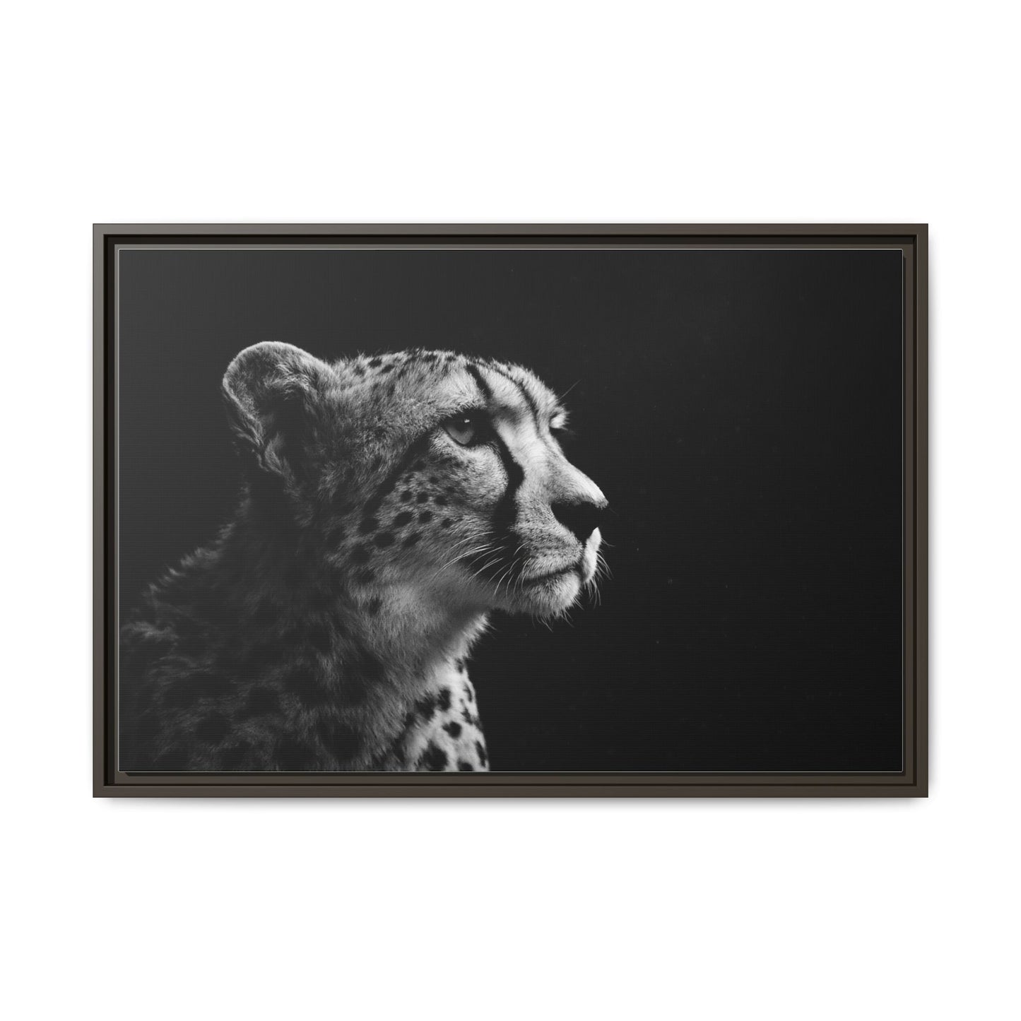 Framed Canvas Print — Cheetah Gaze
