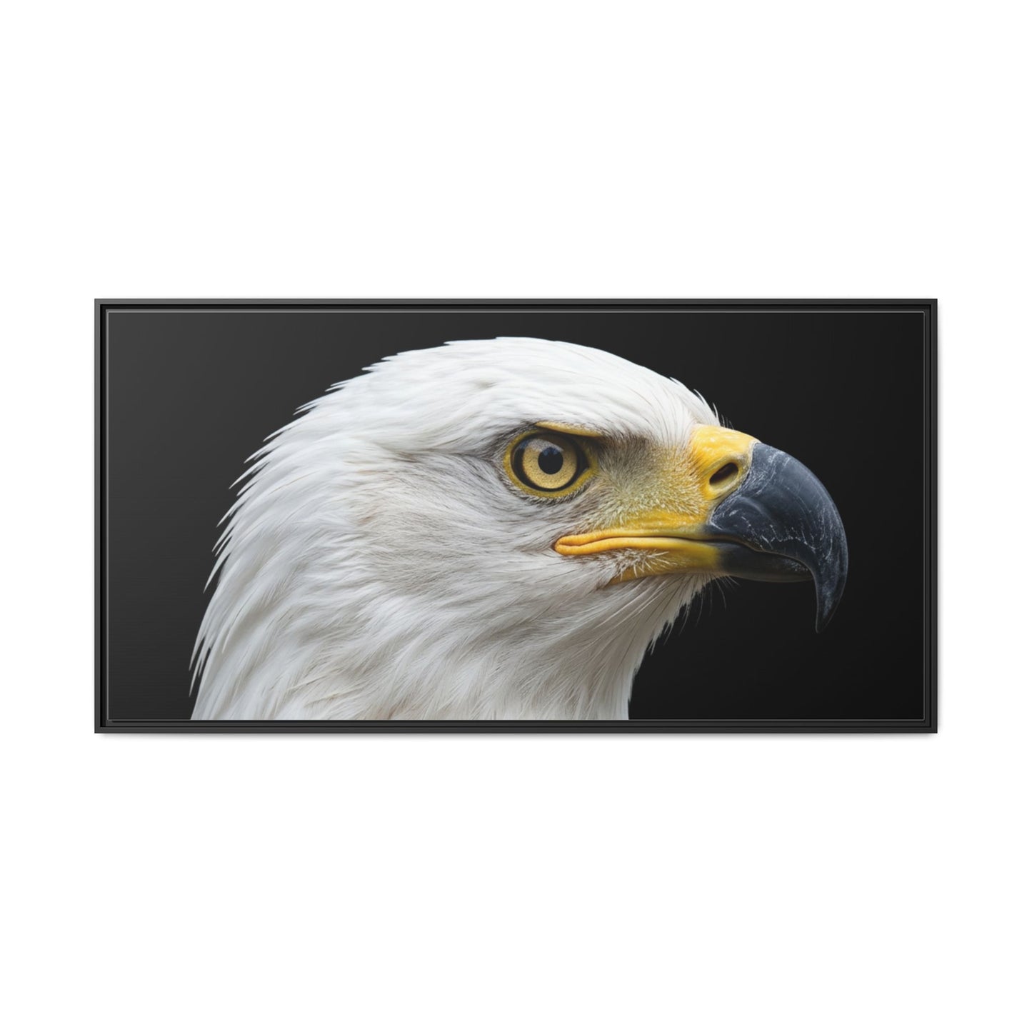 Framed Canvas Print — Fish Eagle In Colour