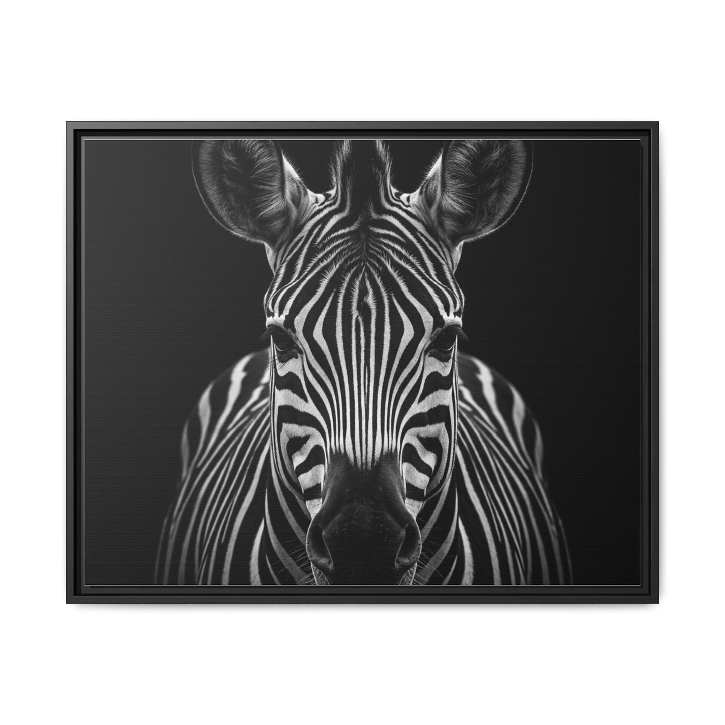 Framed Canvas Print — Zebra In Black