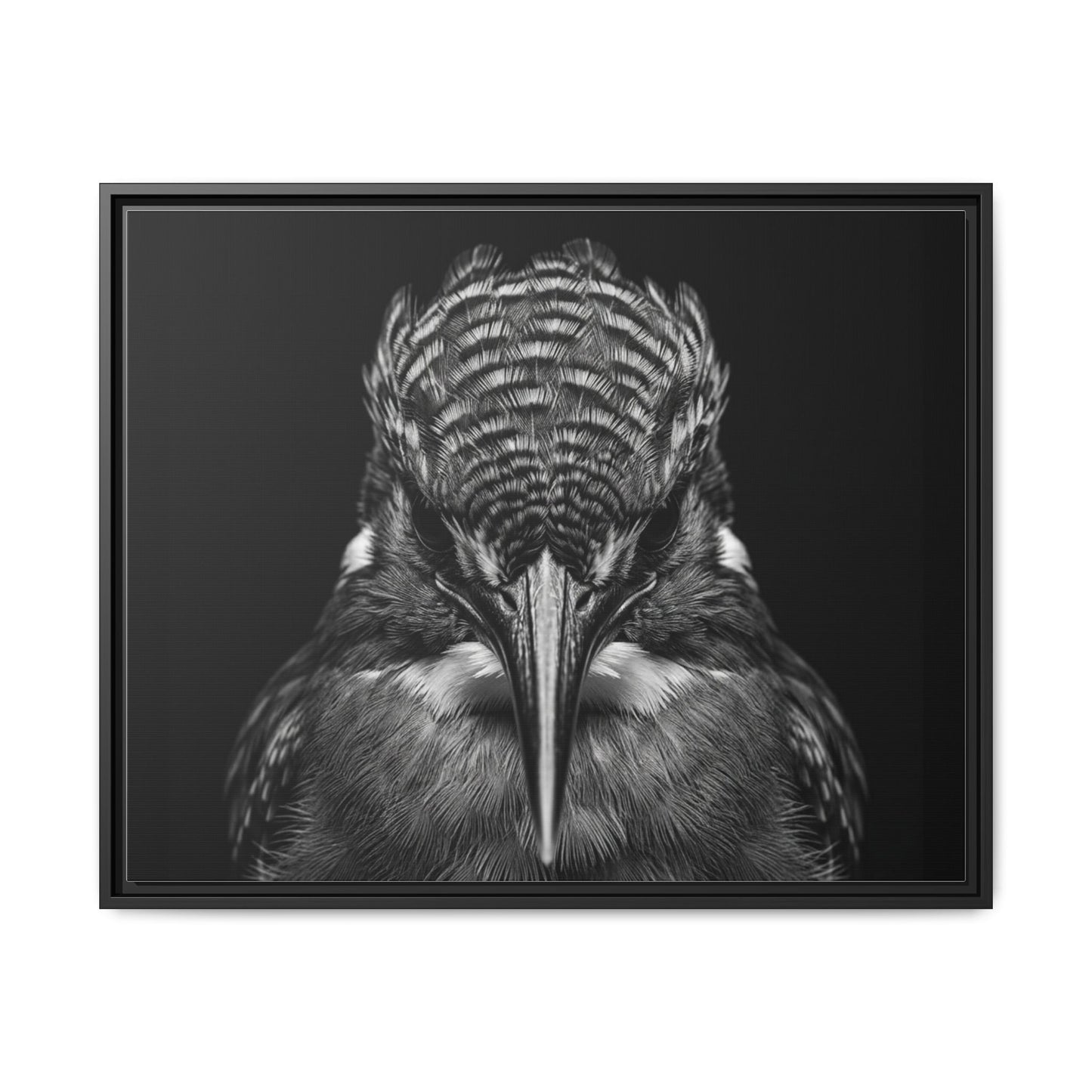 Framed Canvas Print — Malachite Kingfisher In Black