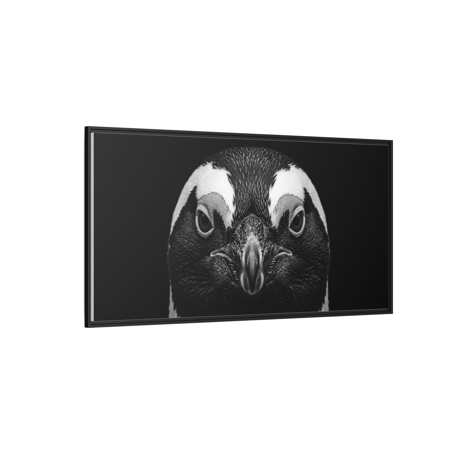 Framed Canvas Print — Afrikan Penguin In Black